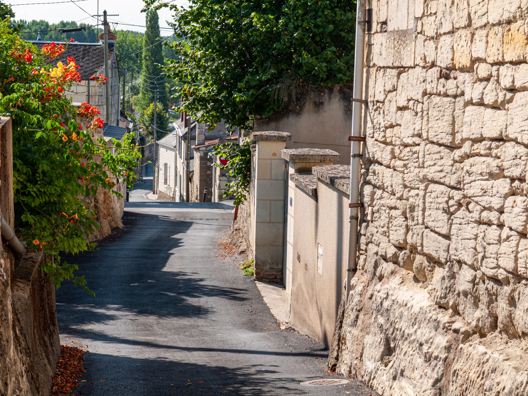 2010 Loire-Atlantique