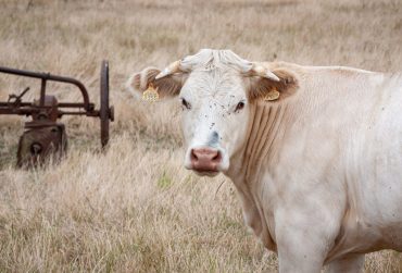 Wish I’d had a Better Map