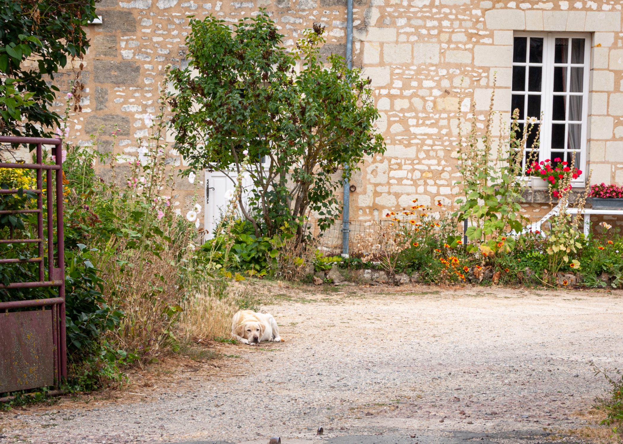 2010 Loire-Atlantique