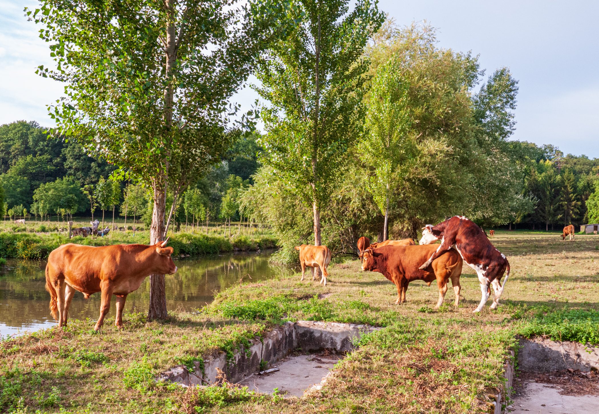 2010 Loire-Atlantique