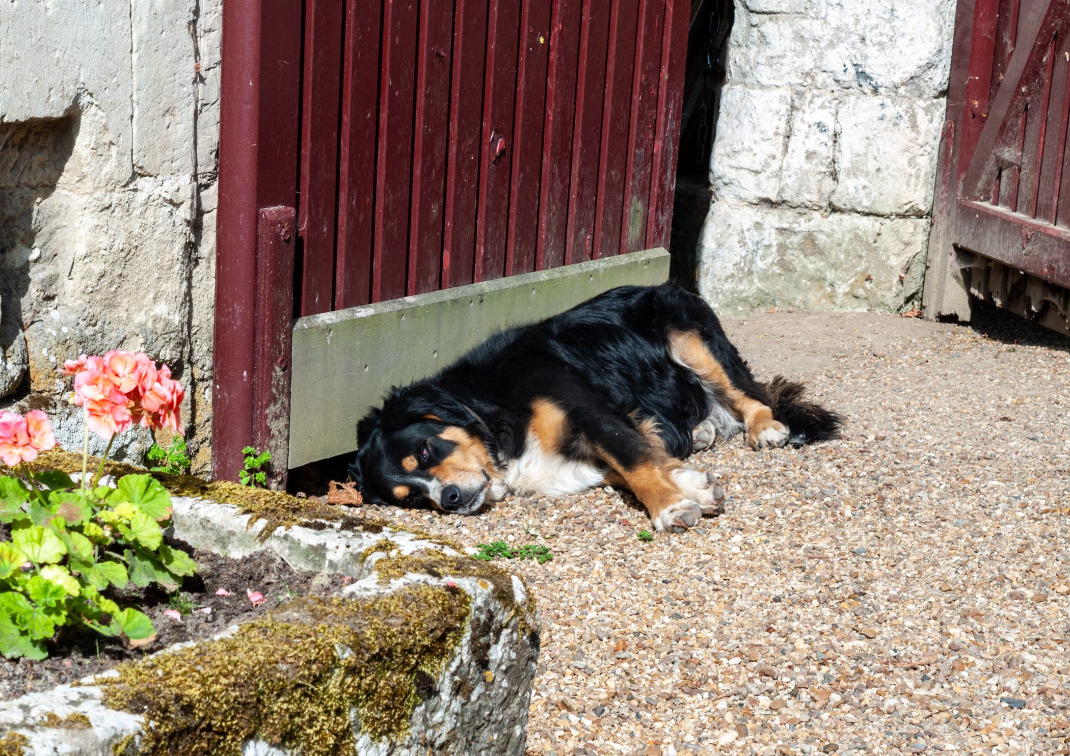 2010 Loire-Atlantique