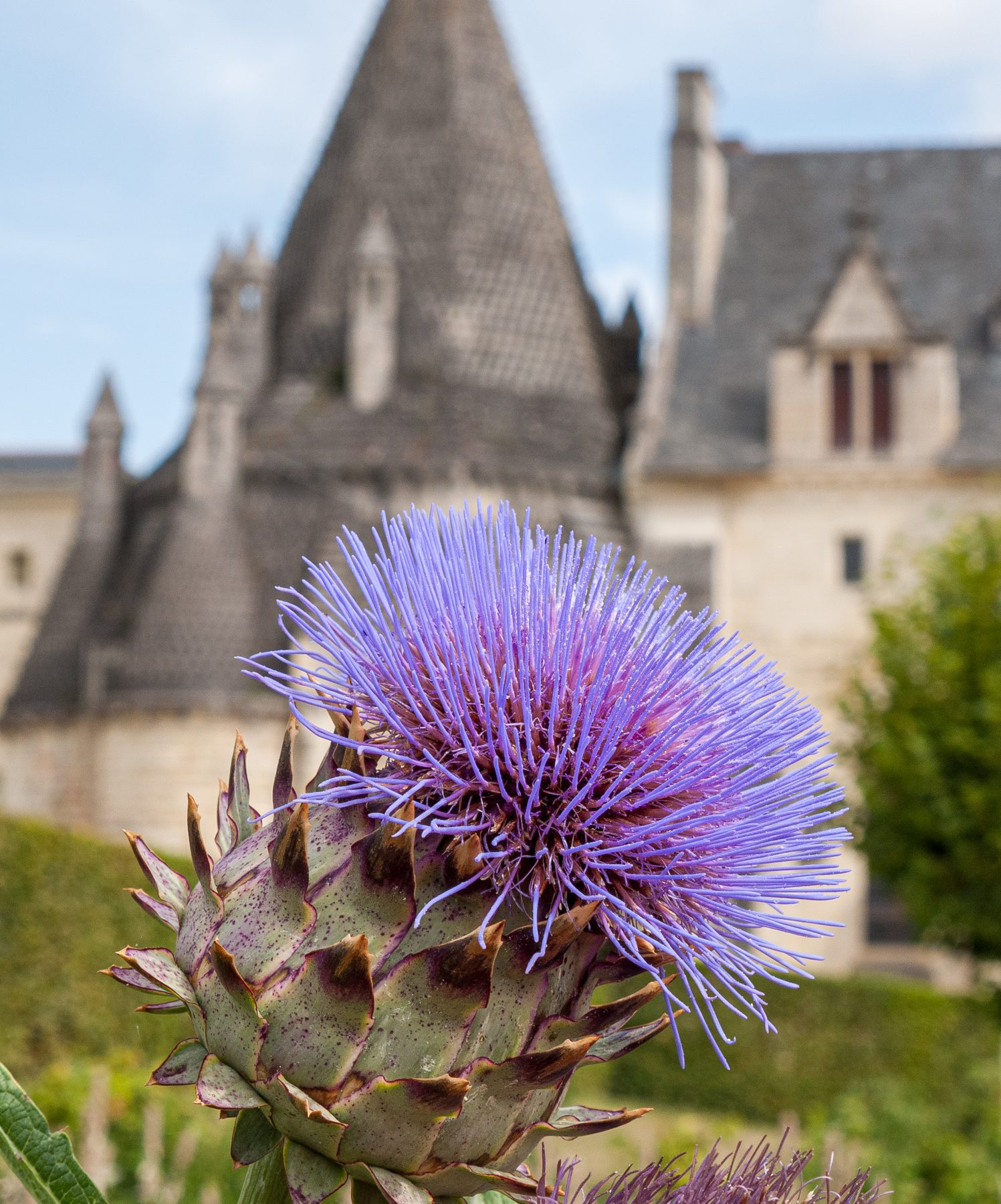 2010 Loire-Atlantique