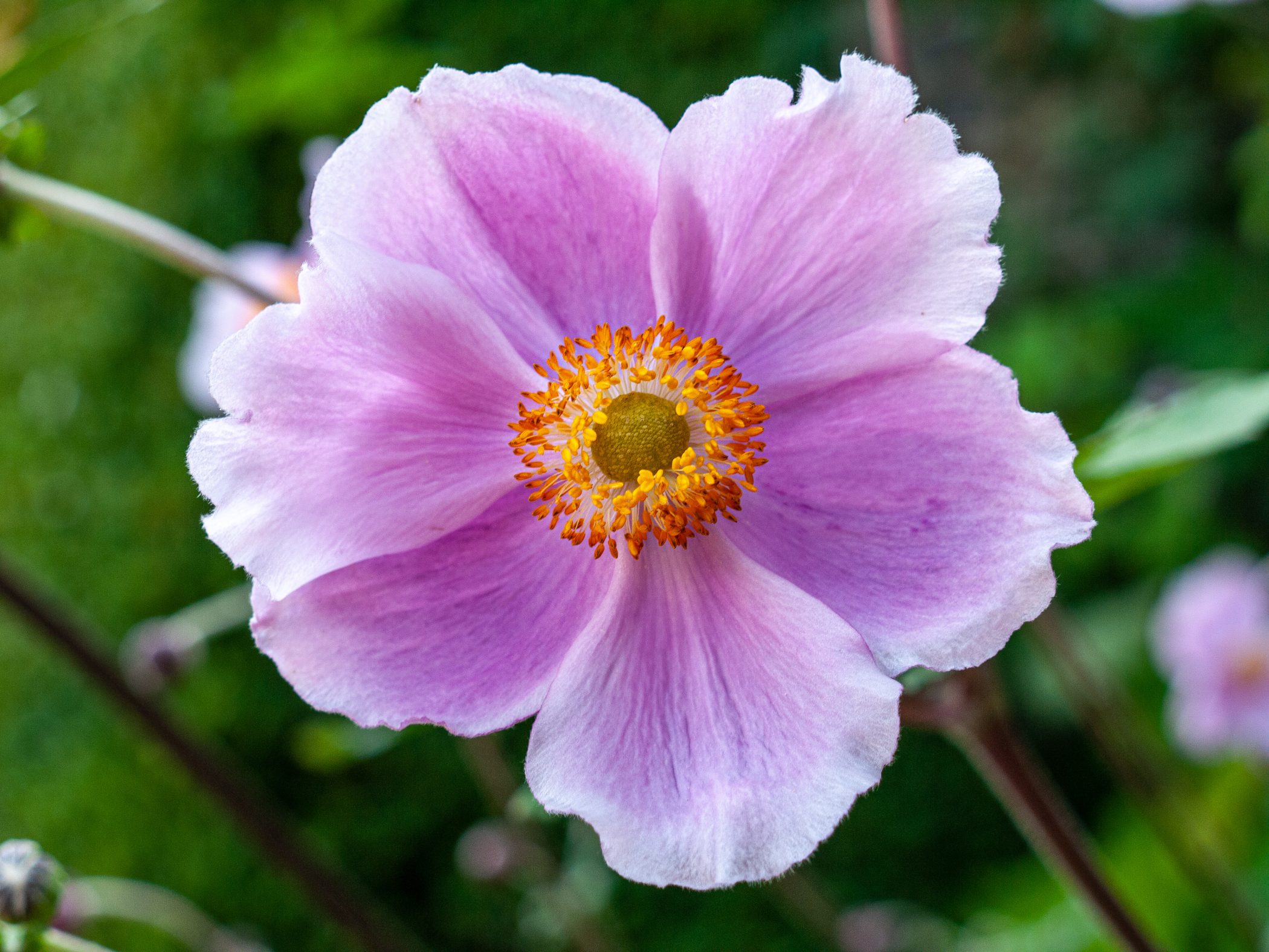 2010 Loire-Atlantique