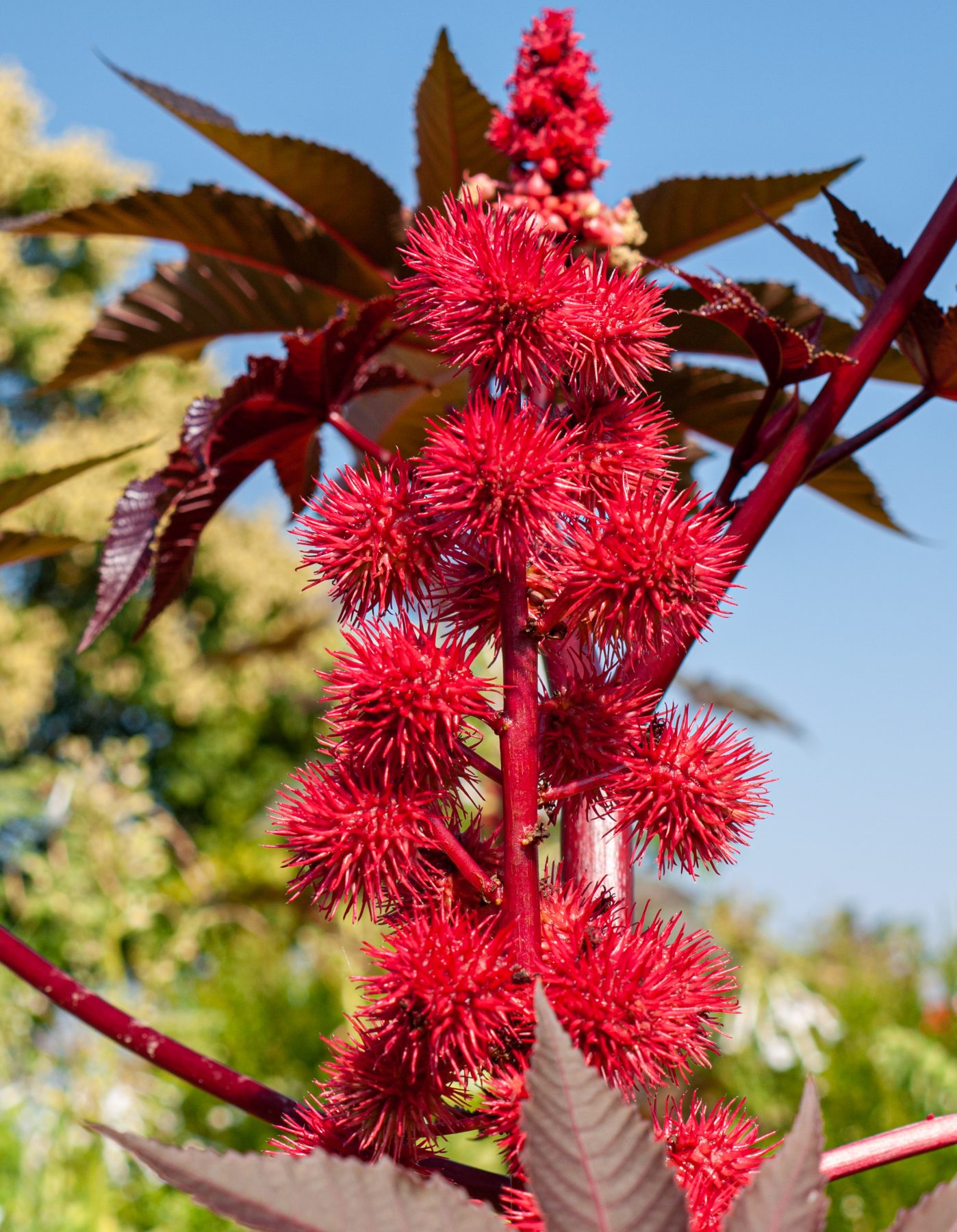 2010 Loire-Atlantique