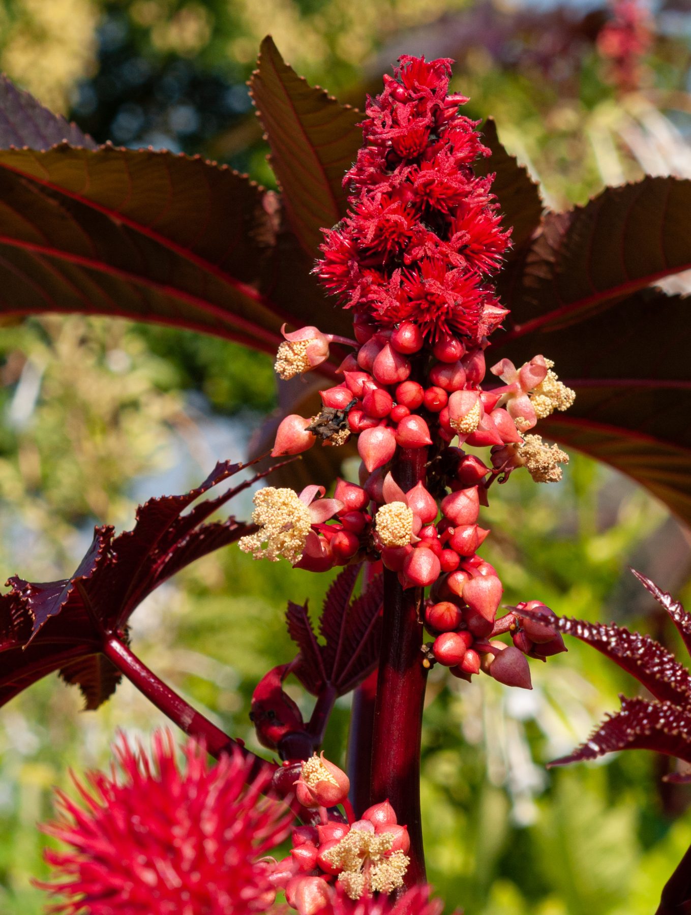 2010 Loire-Atlantique