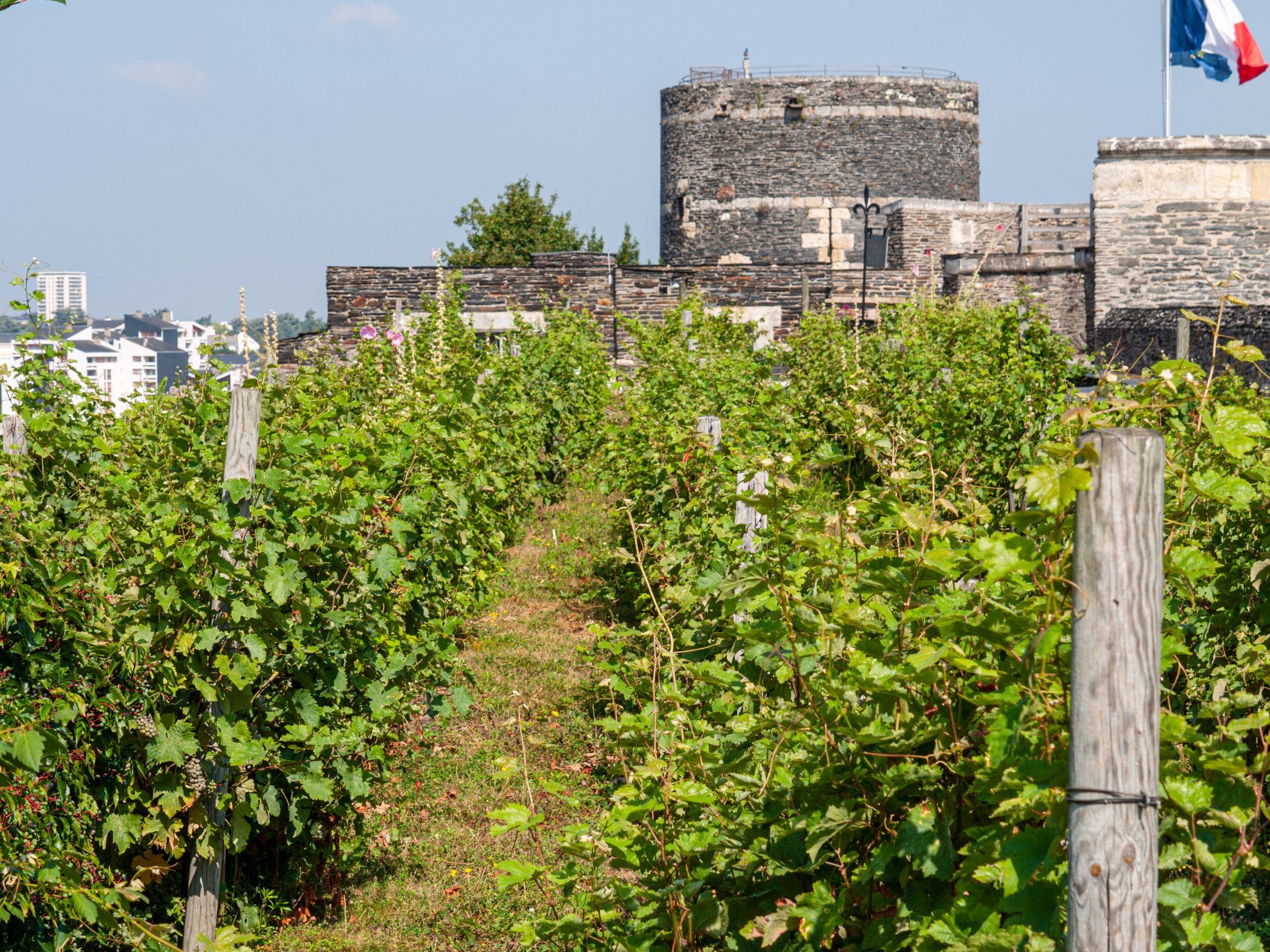 2010 Loire-Atlantique