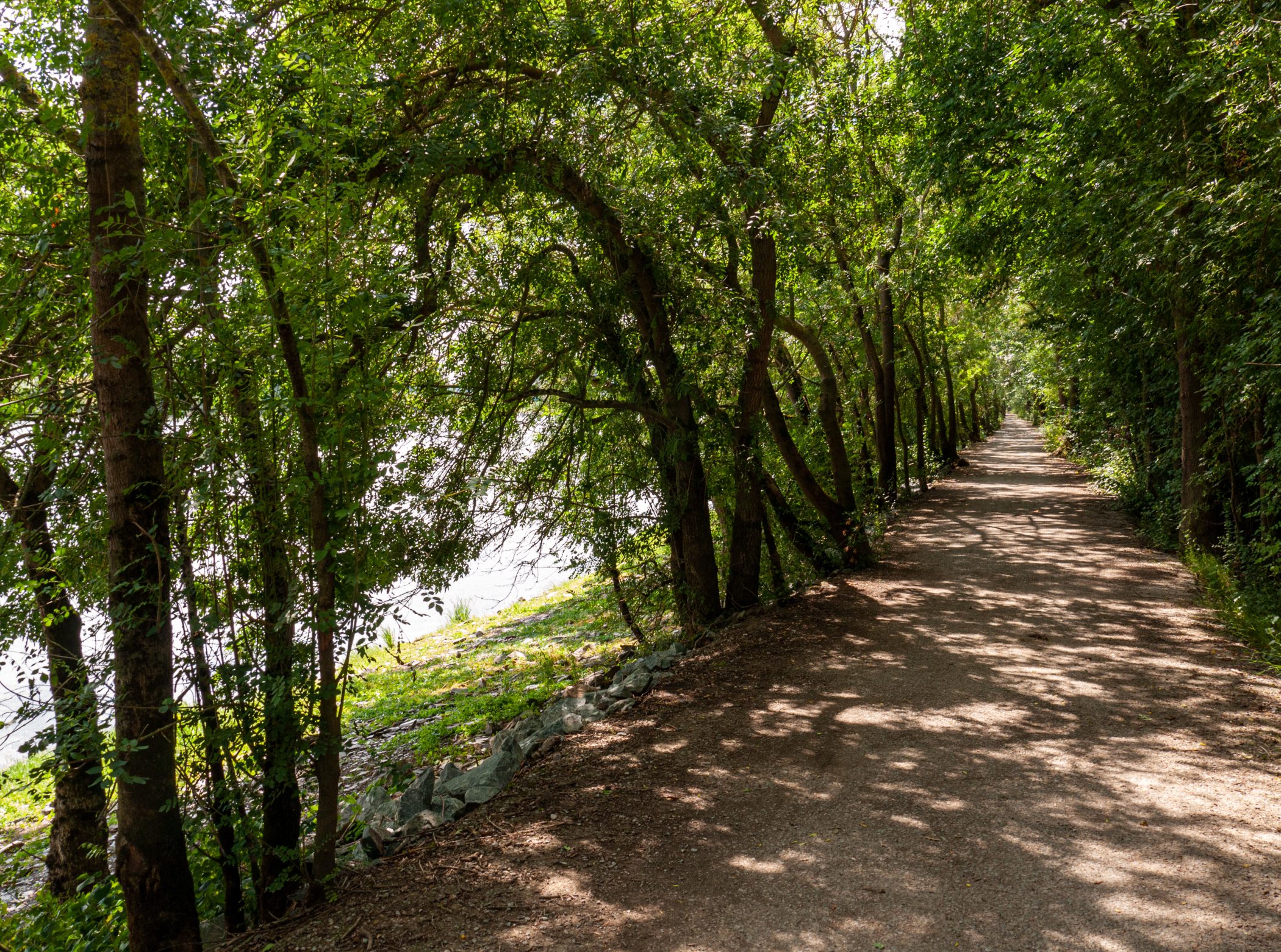 2010 Loire-Atlantique