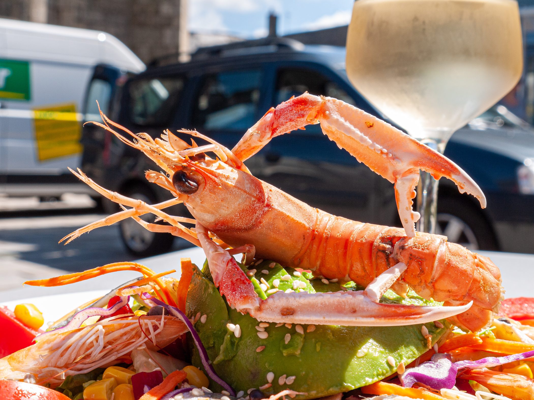 2010 Loire-Atlantique