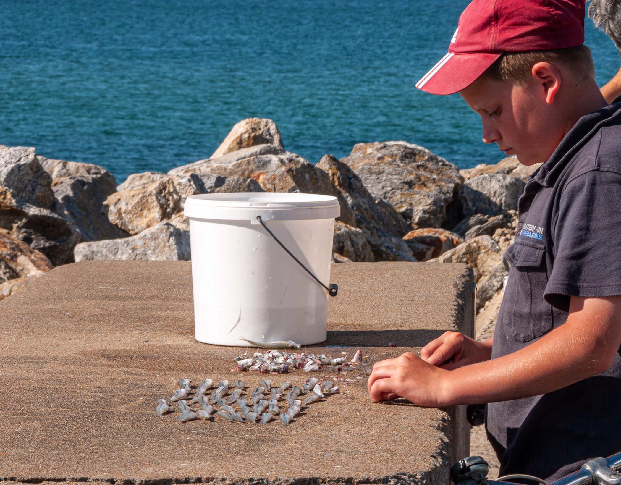 2010 Loire-Atlantique