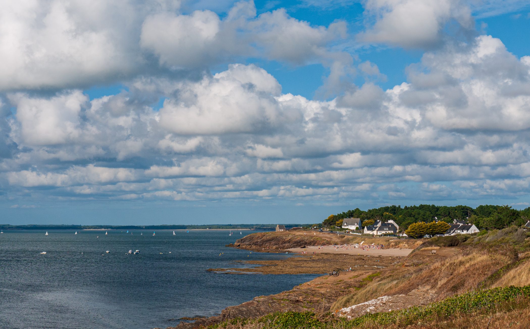 2010 Loire-Atlantique