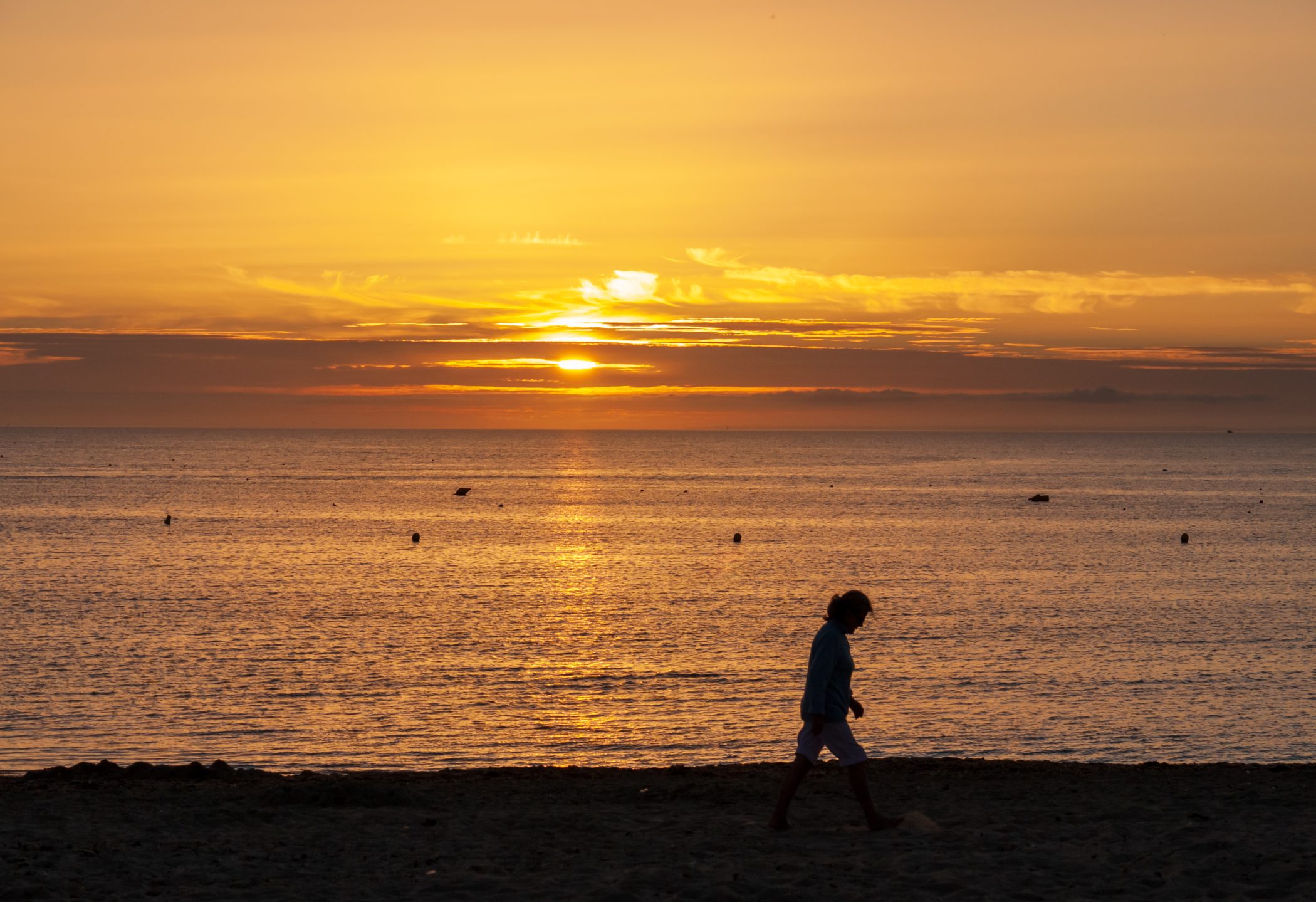 2010 Loire-Atlantique