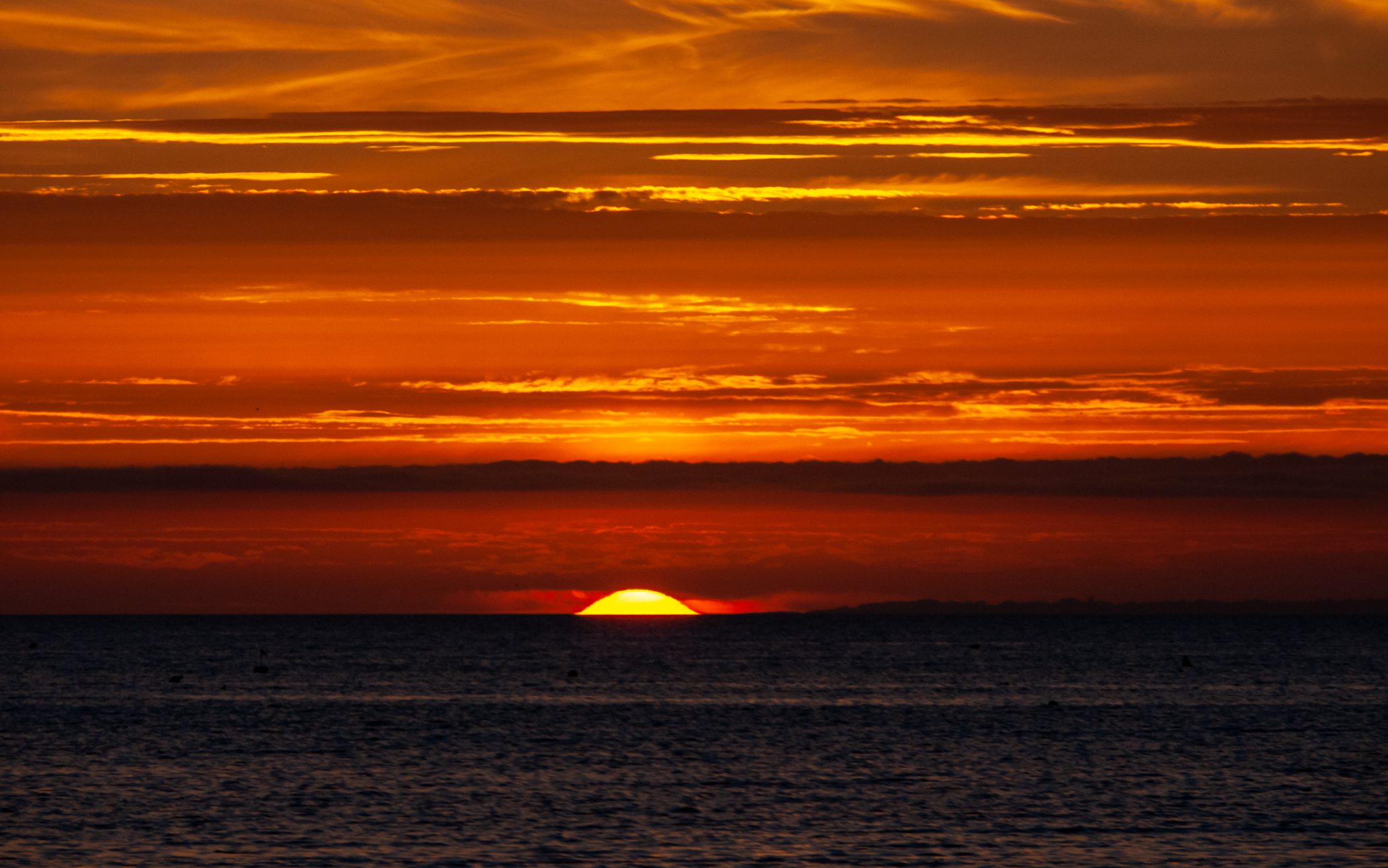 2010 Loire-Atlantique