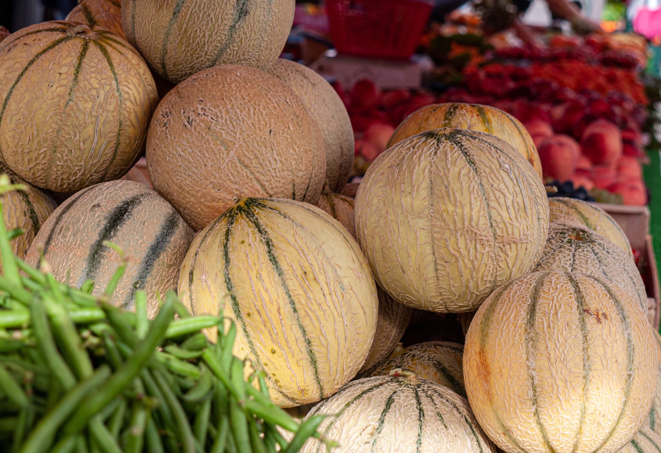 2010 Loire-Atlantique