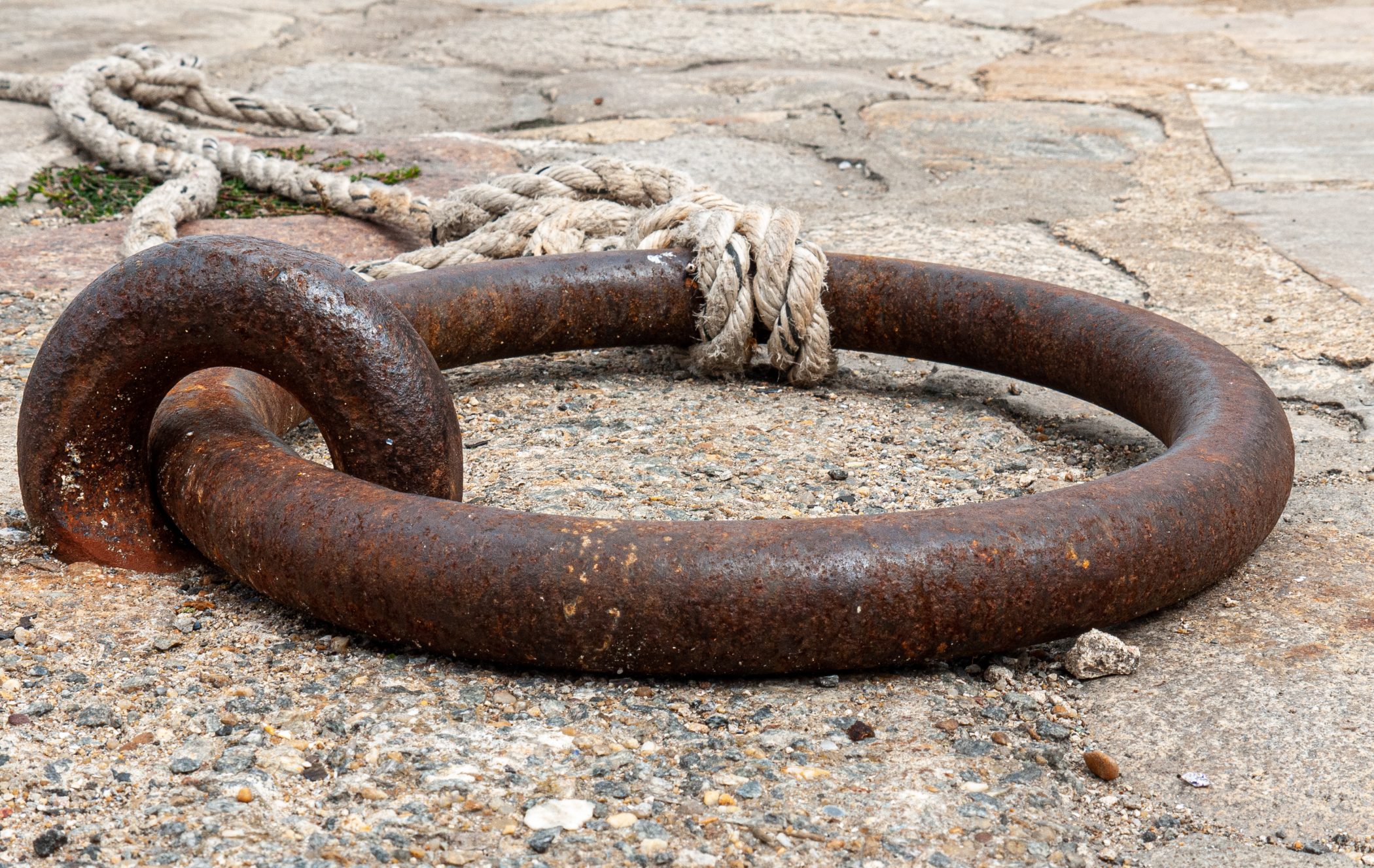 2010 Loire-Atlantique