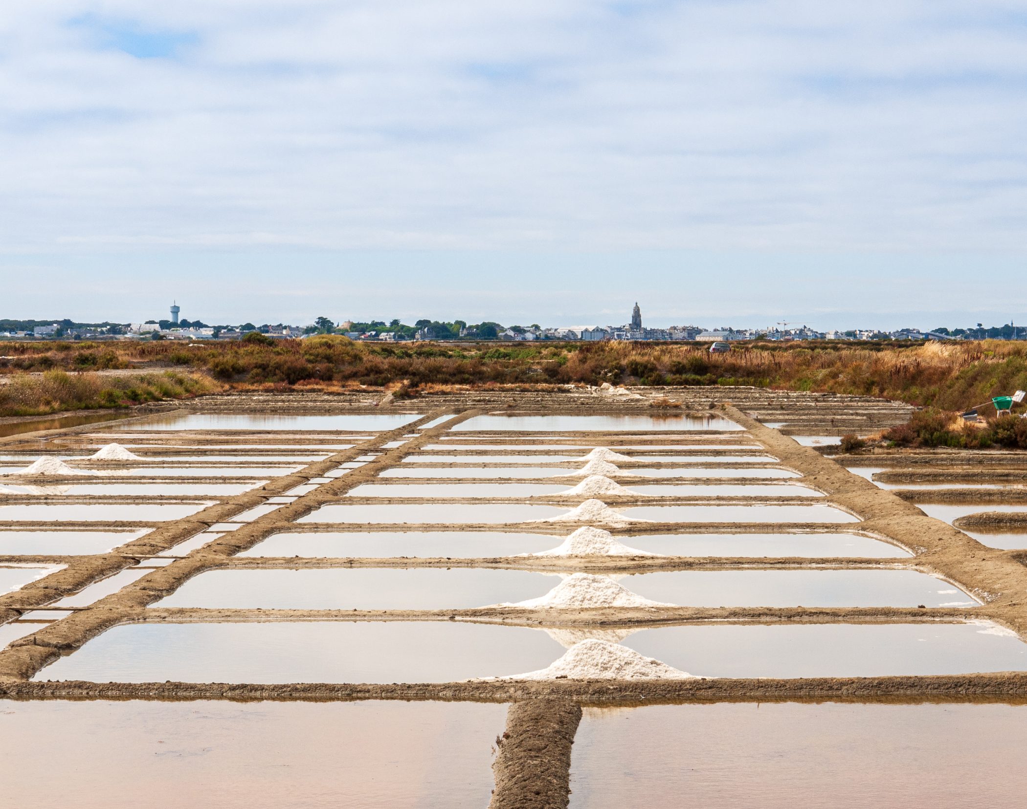 2010 Loire-Atlantique