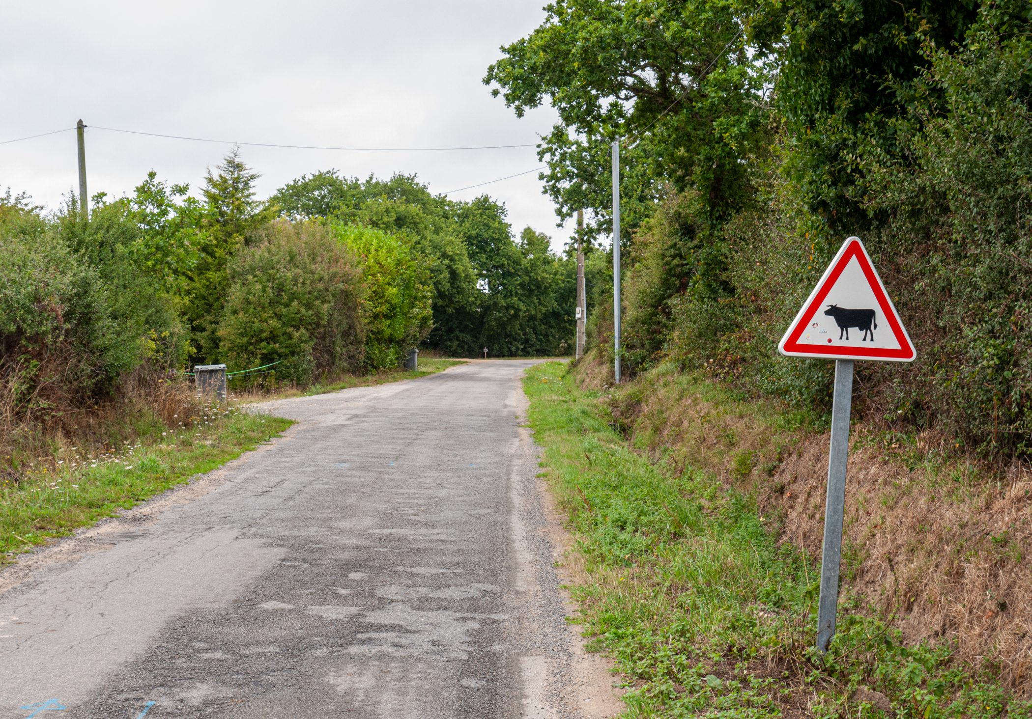 2010 Loire-Atlantique