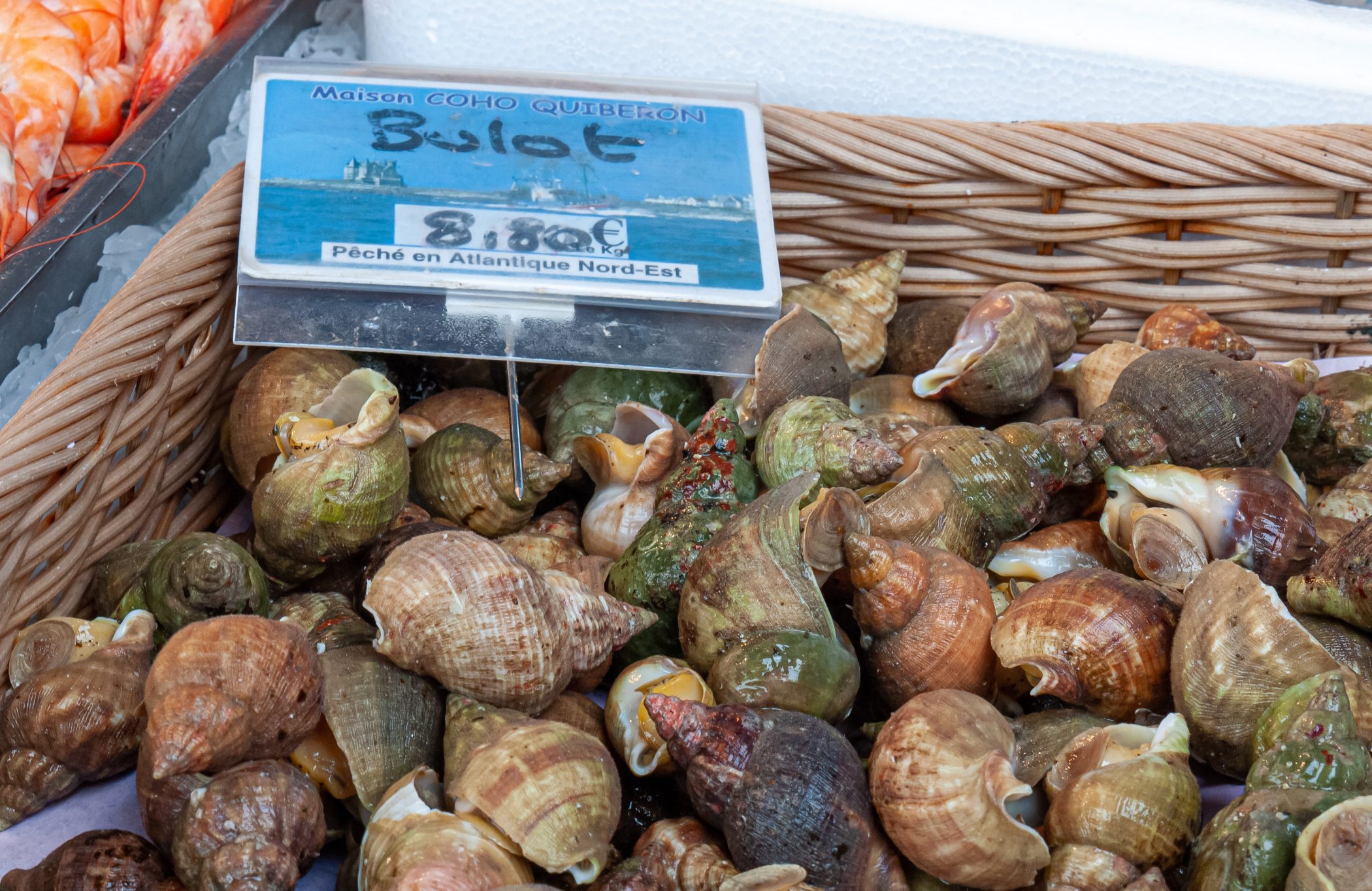 2010 Loire-Atlantique