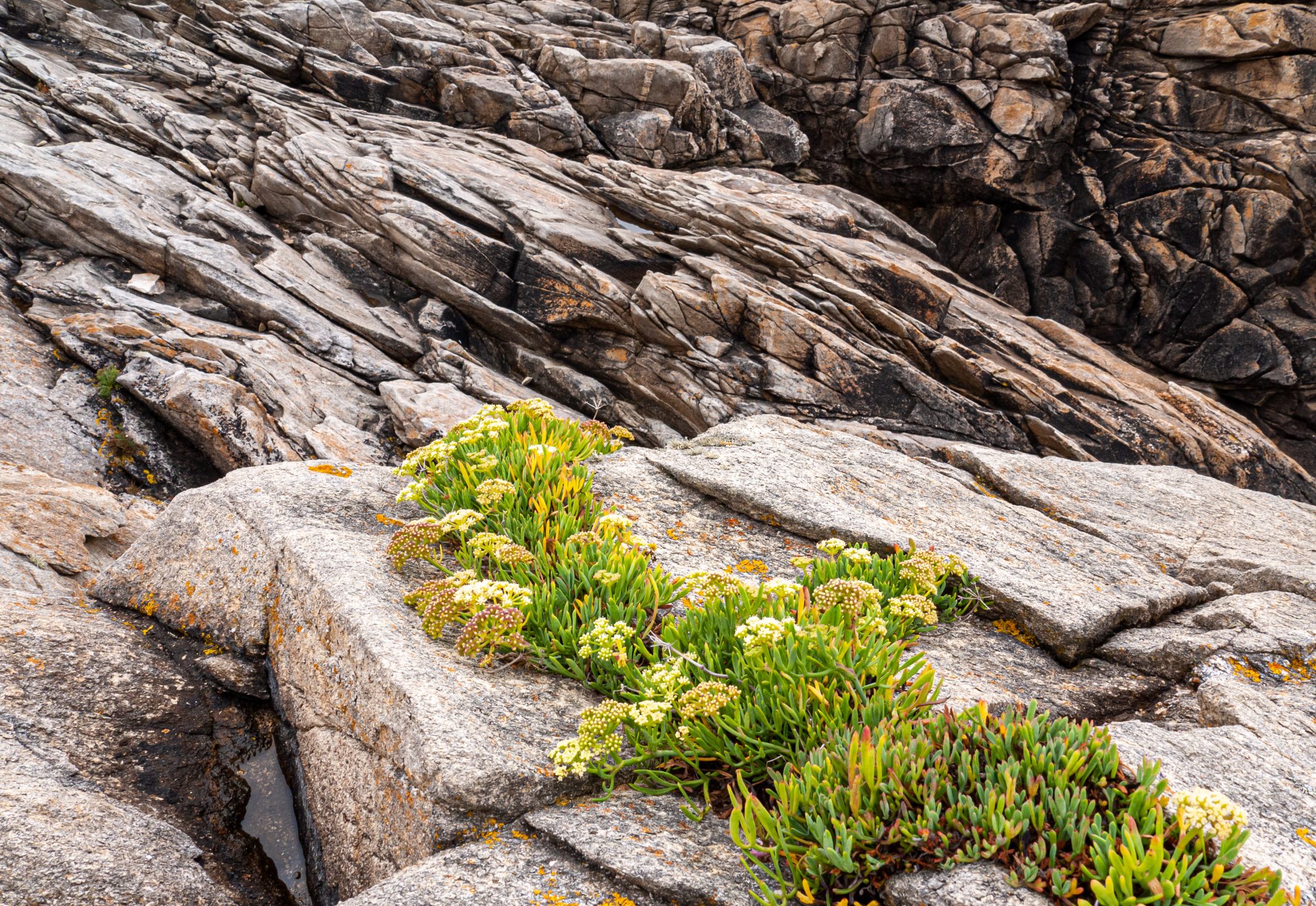 2010 Loire-Atlantique