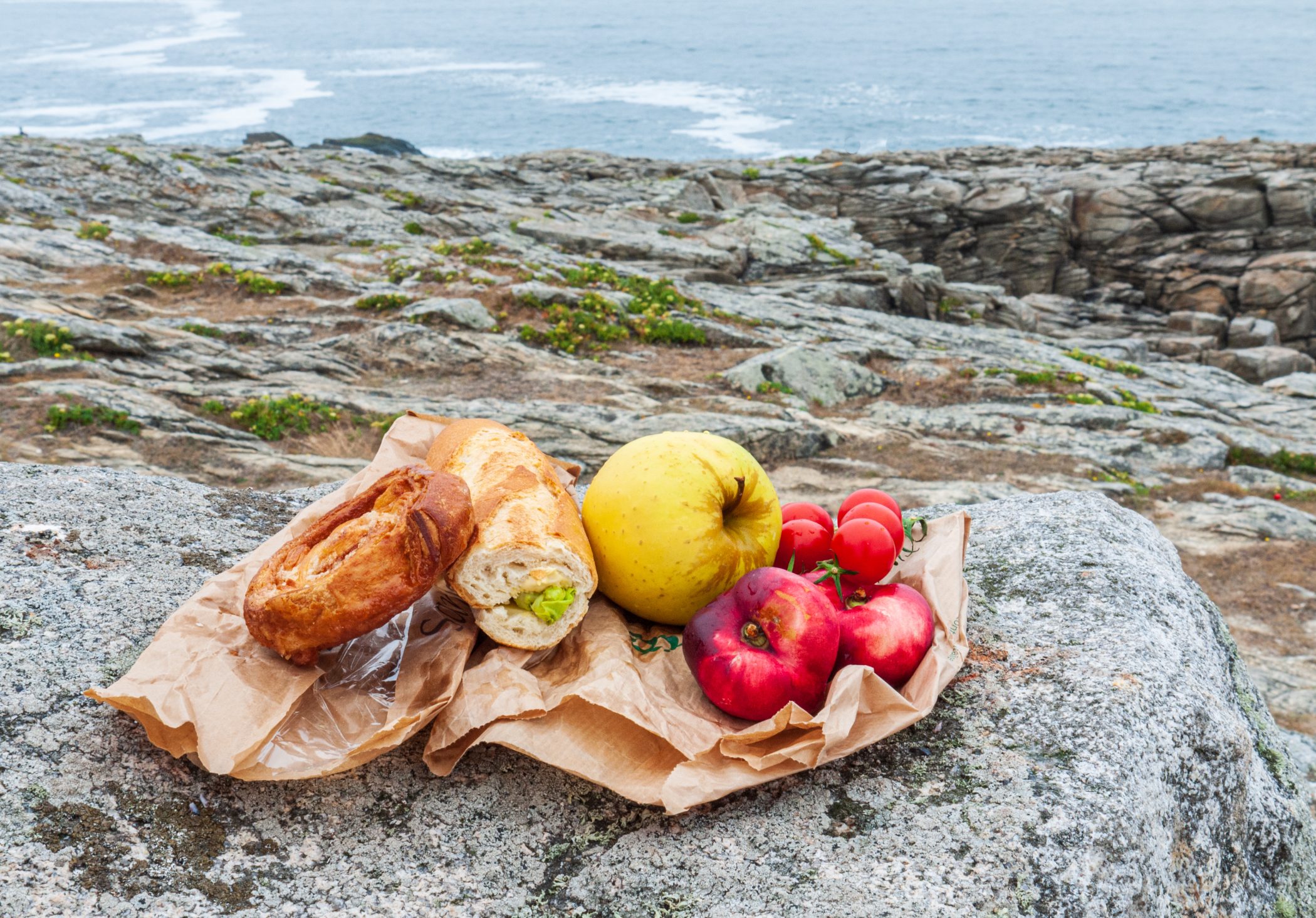 2010 Loire-Atlantique