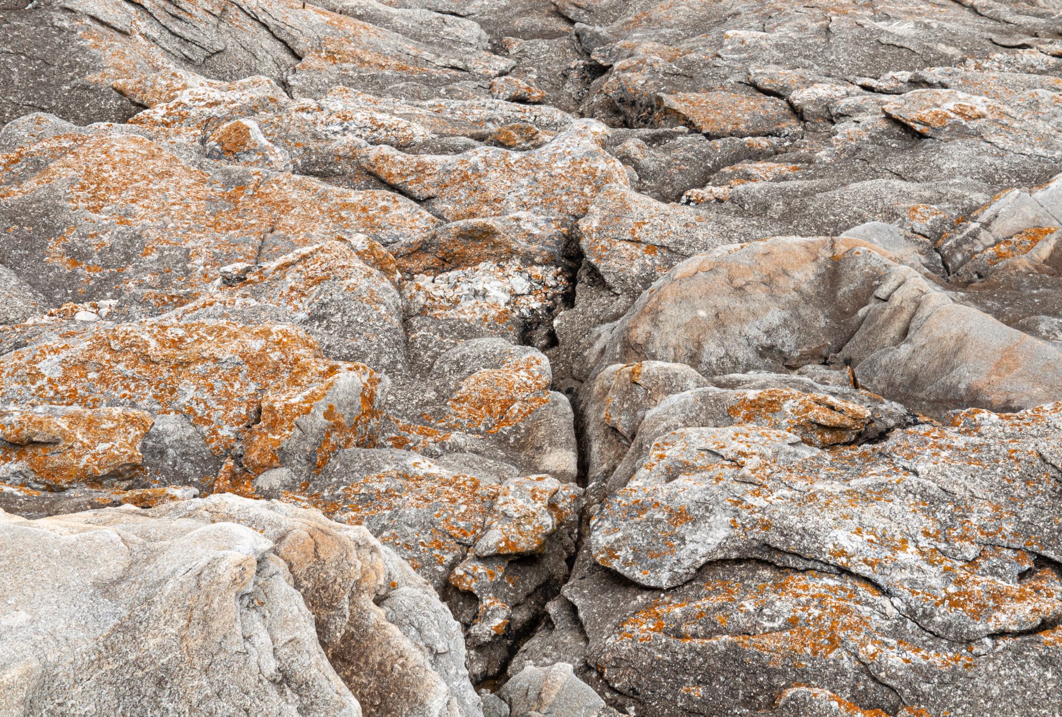 2010 Loire-Atlantique