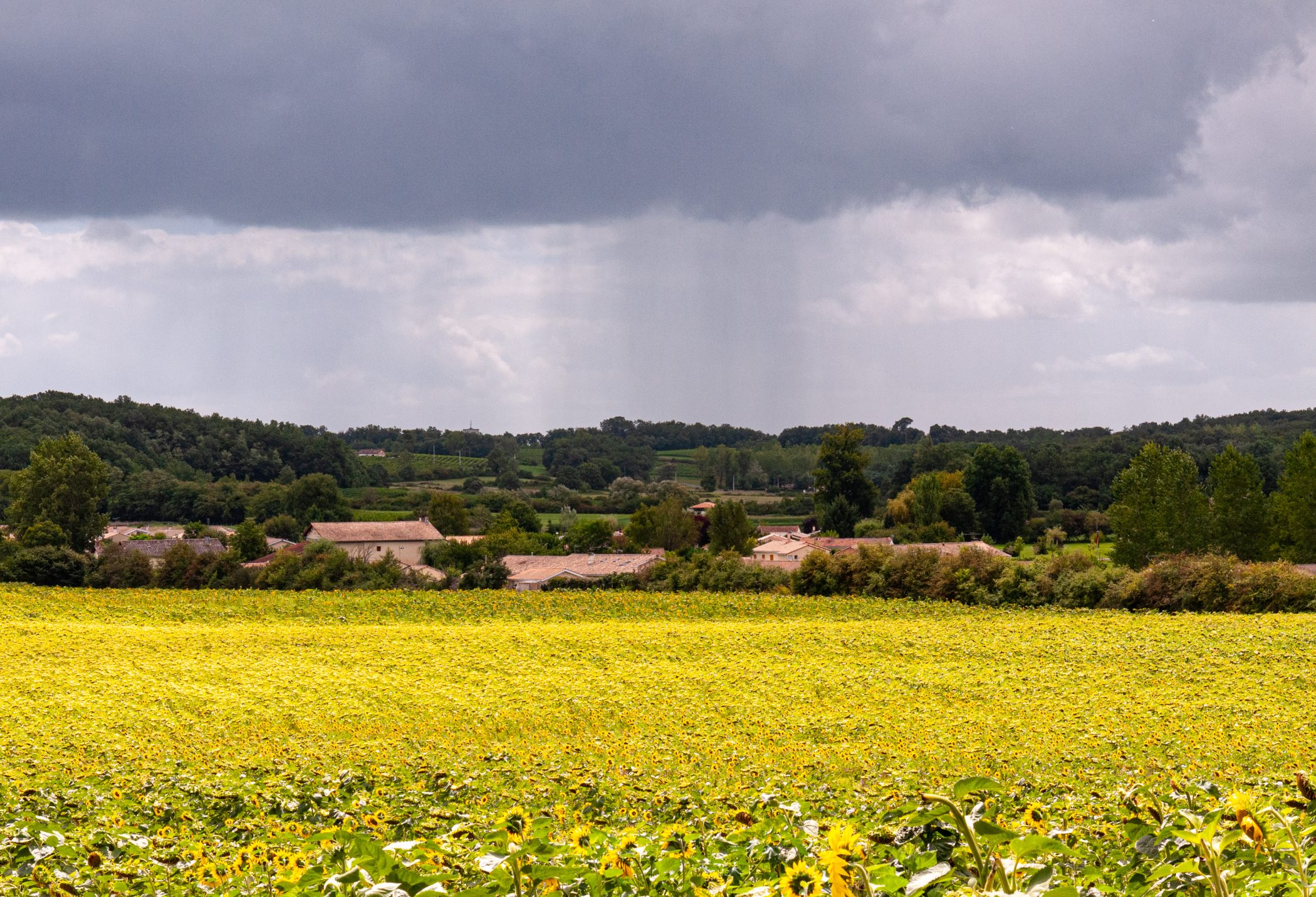Canal du Midi Aug. 2011