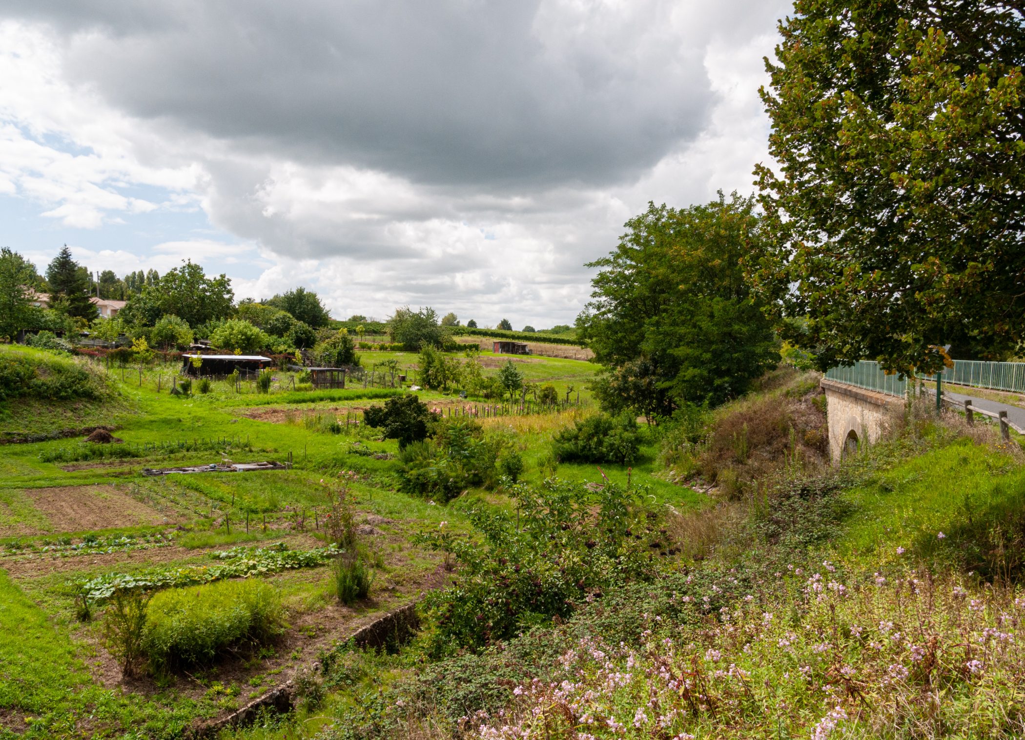 Canal du Midi Aug. 2011