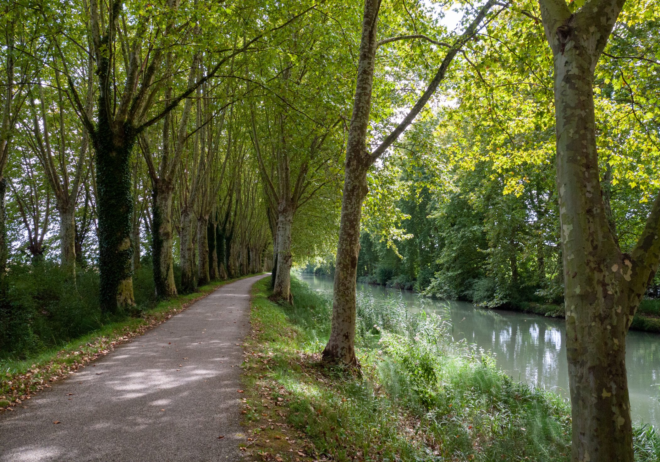 Canal du Midi Aug. 2011