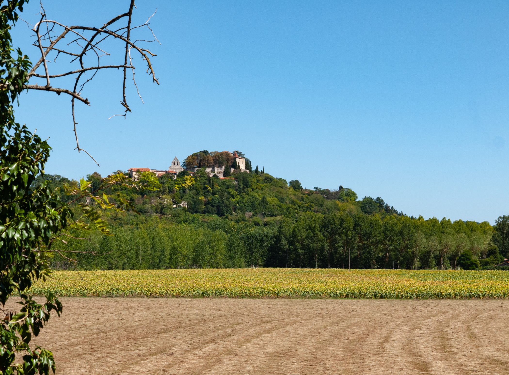 Canal du Midi Aug. 2011