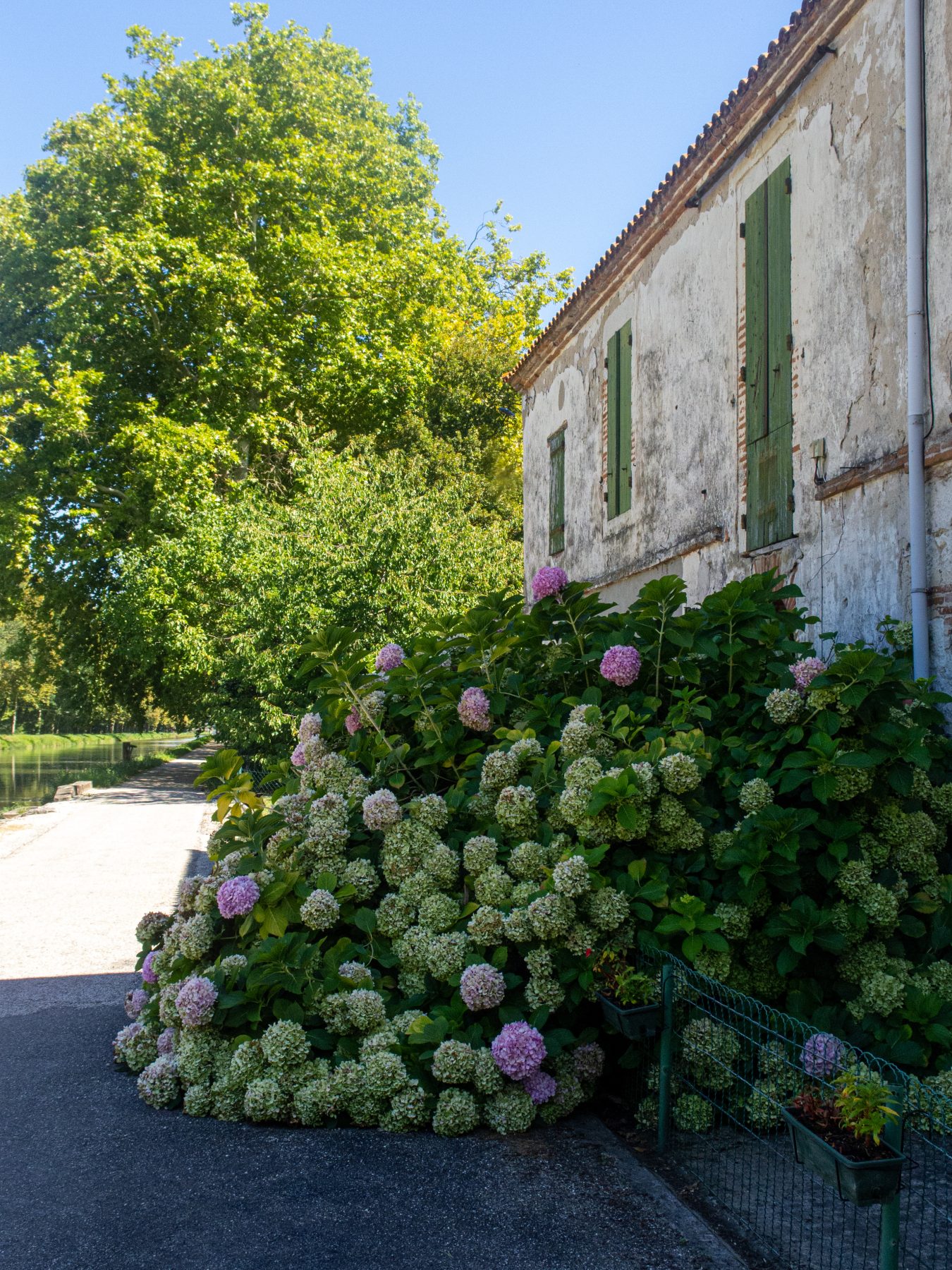 Canal du Midi Aug. 2011