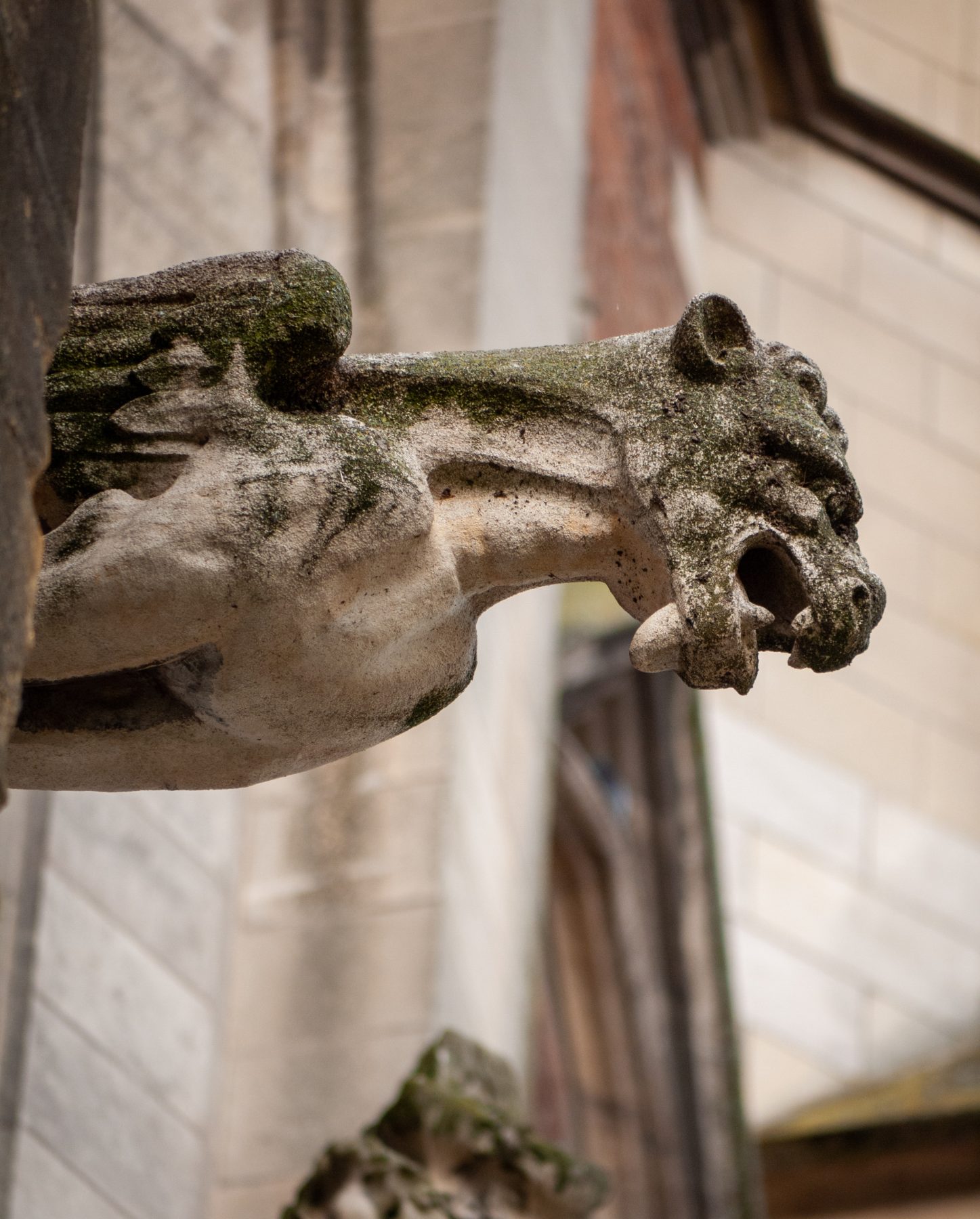 Canal du Midi Aug. 2011