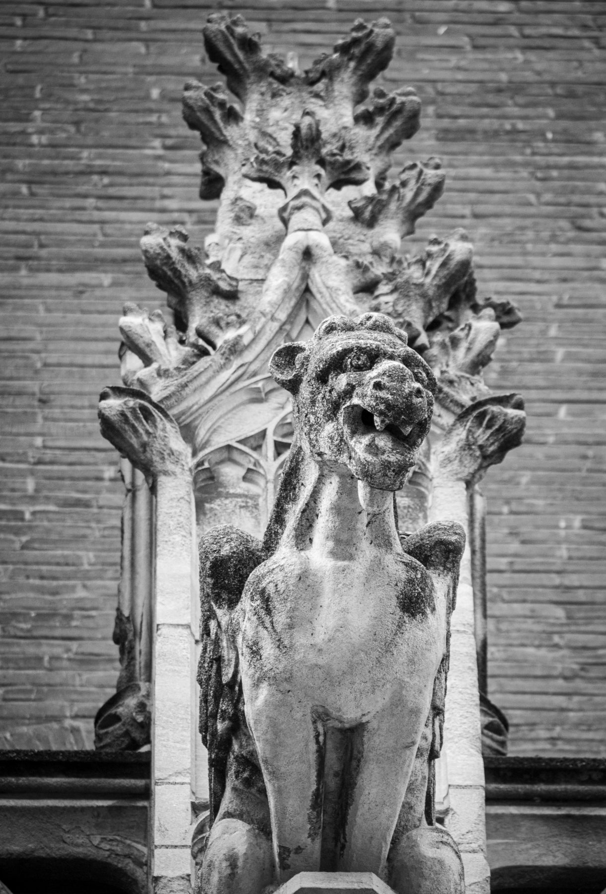 Canal du Midi Aug. 2011