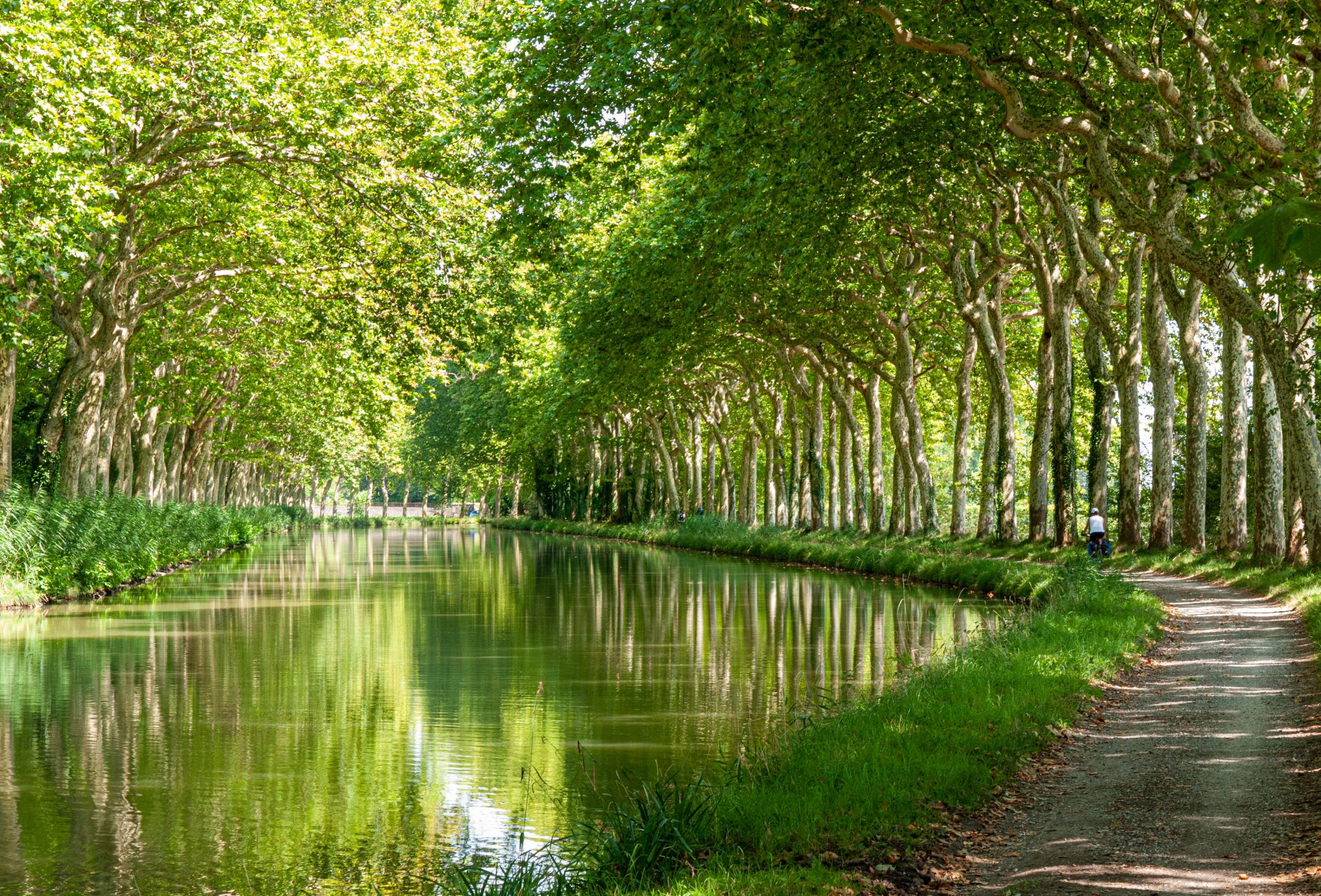 Canal du Midi Aug. 2011