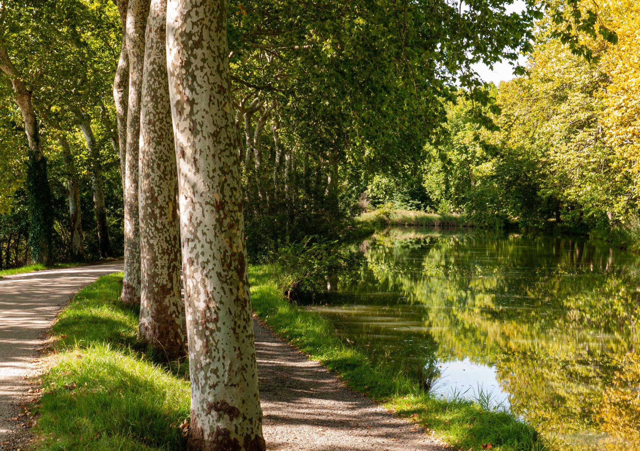 Canal du Midi Aug. 2011