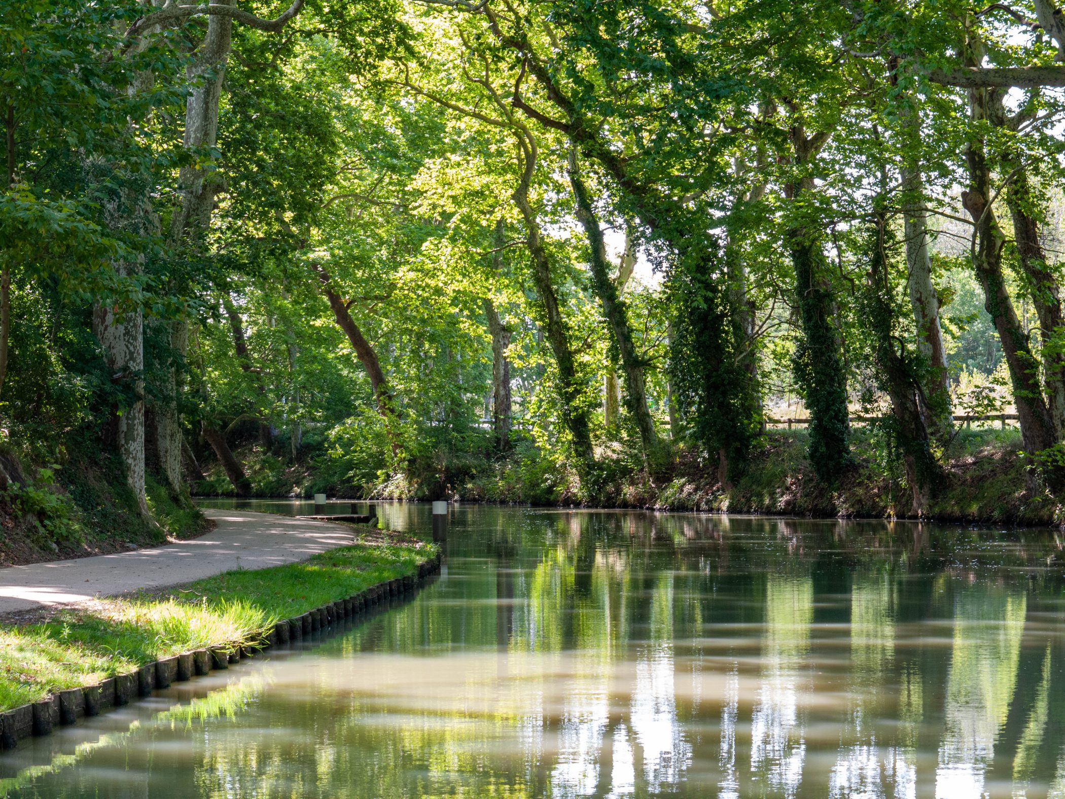 Canal du Midi Aug. 2011
