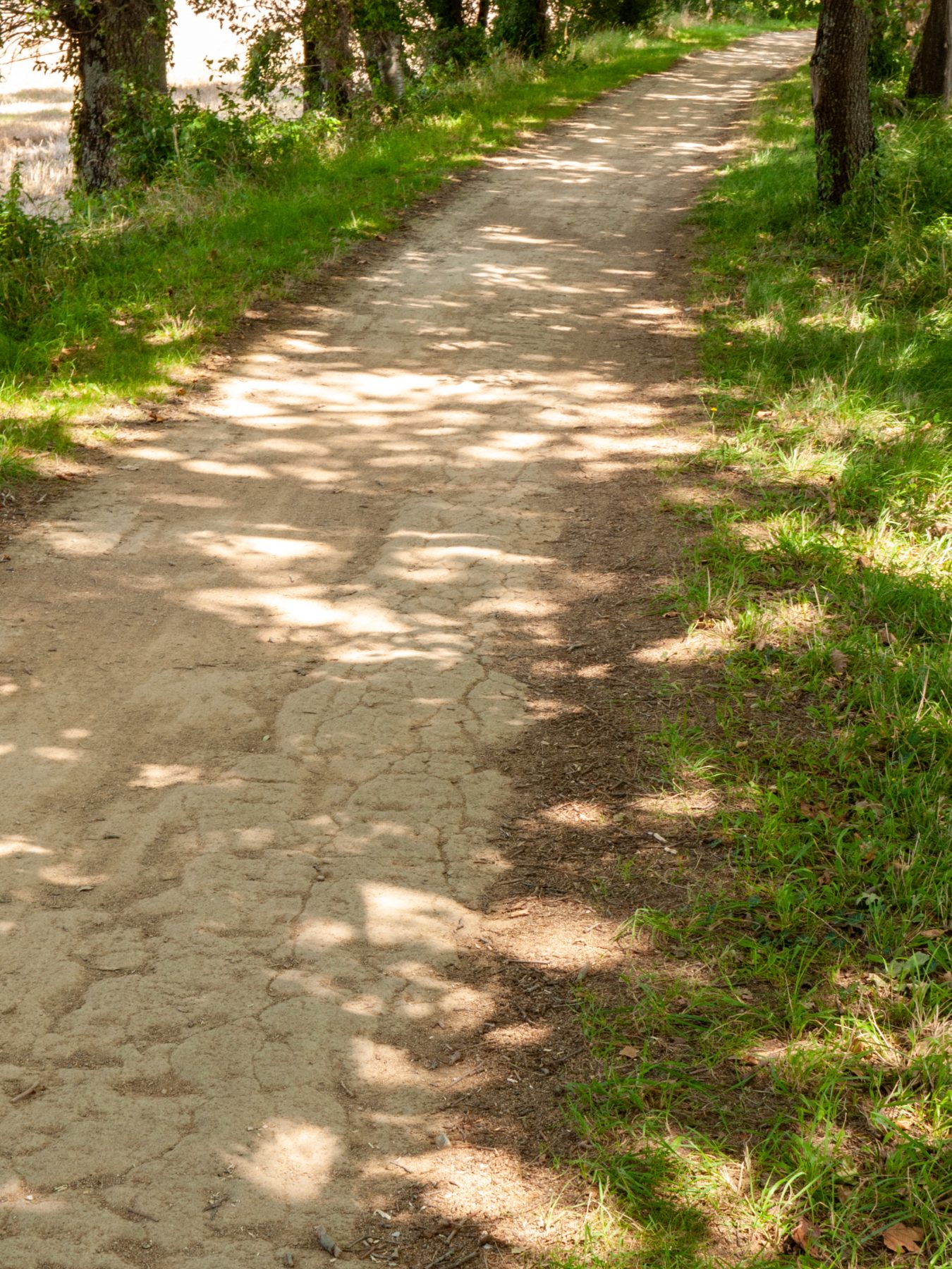 Canal du Midi Aug. 2011