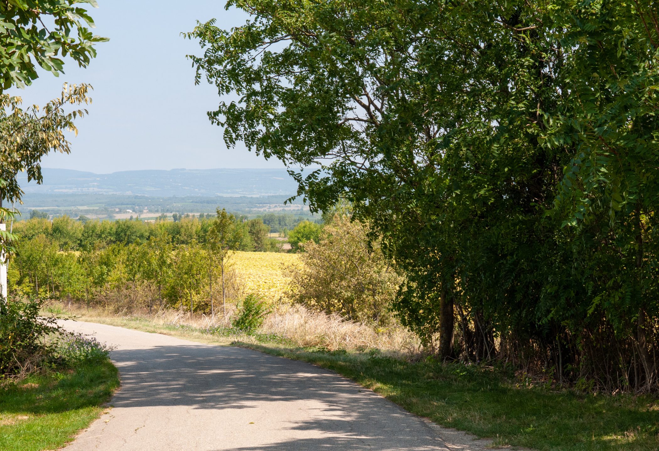 Canal du Midi Aug. 2011