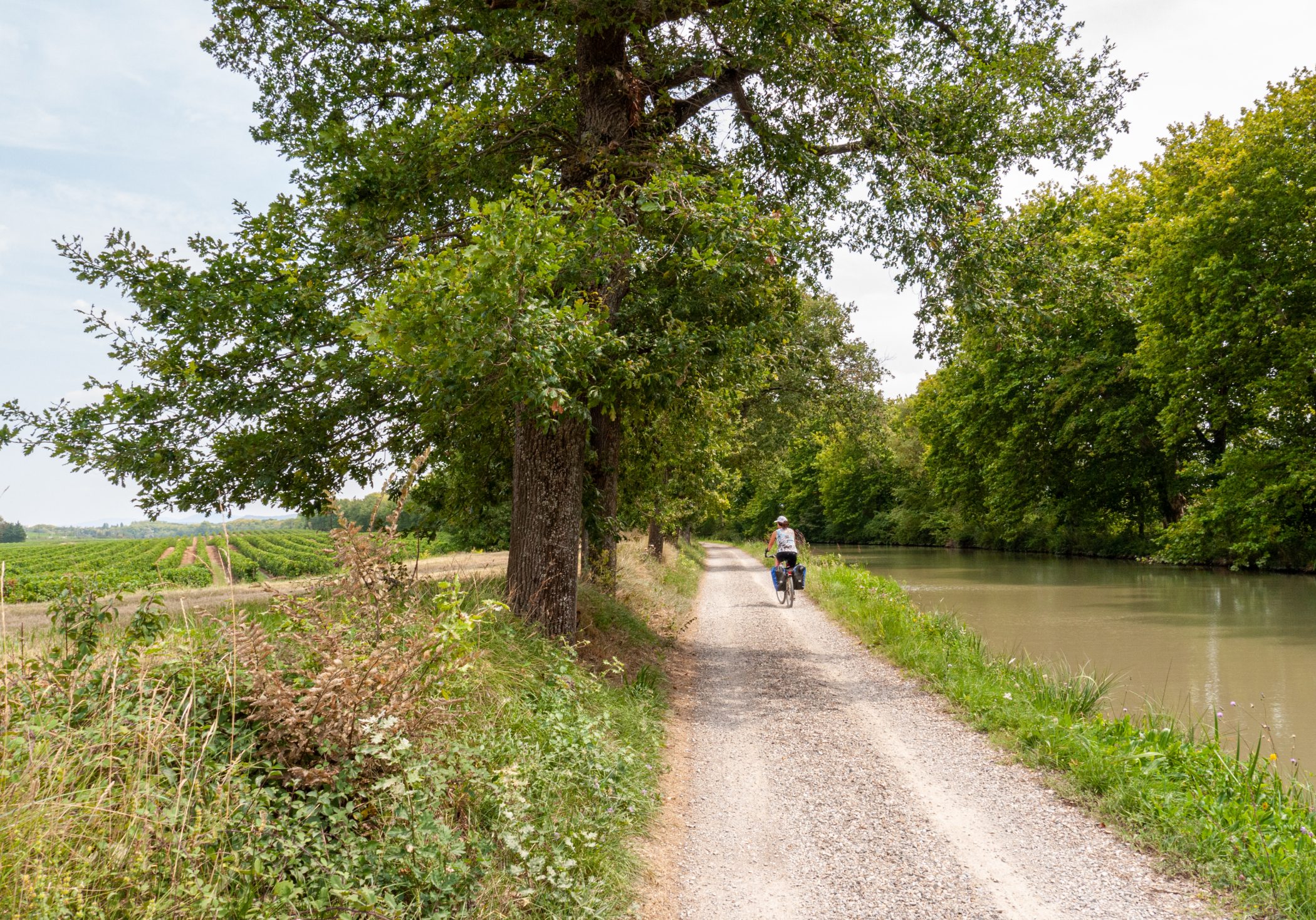 Canal du Midi Aug. 2011