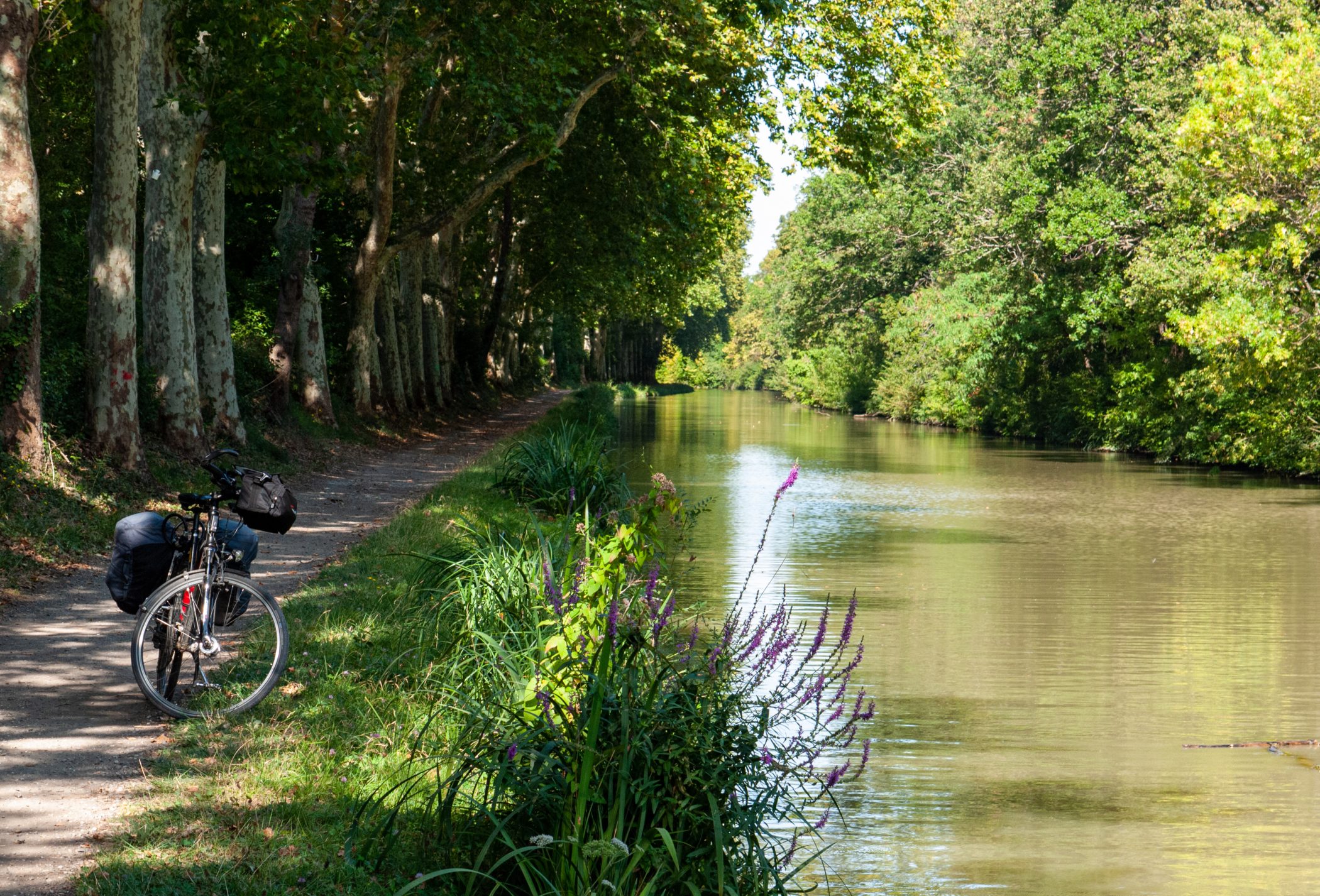 Canal du Midi Aug. 2011