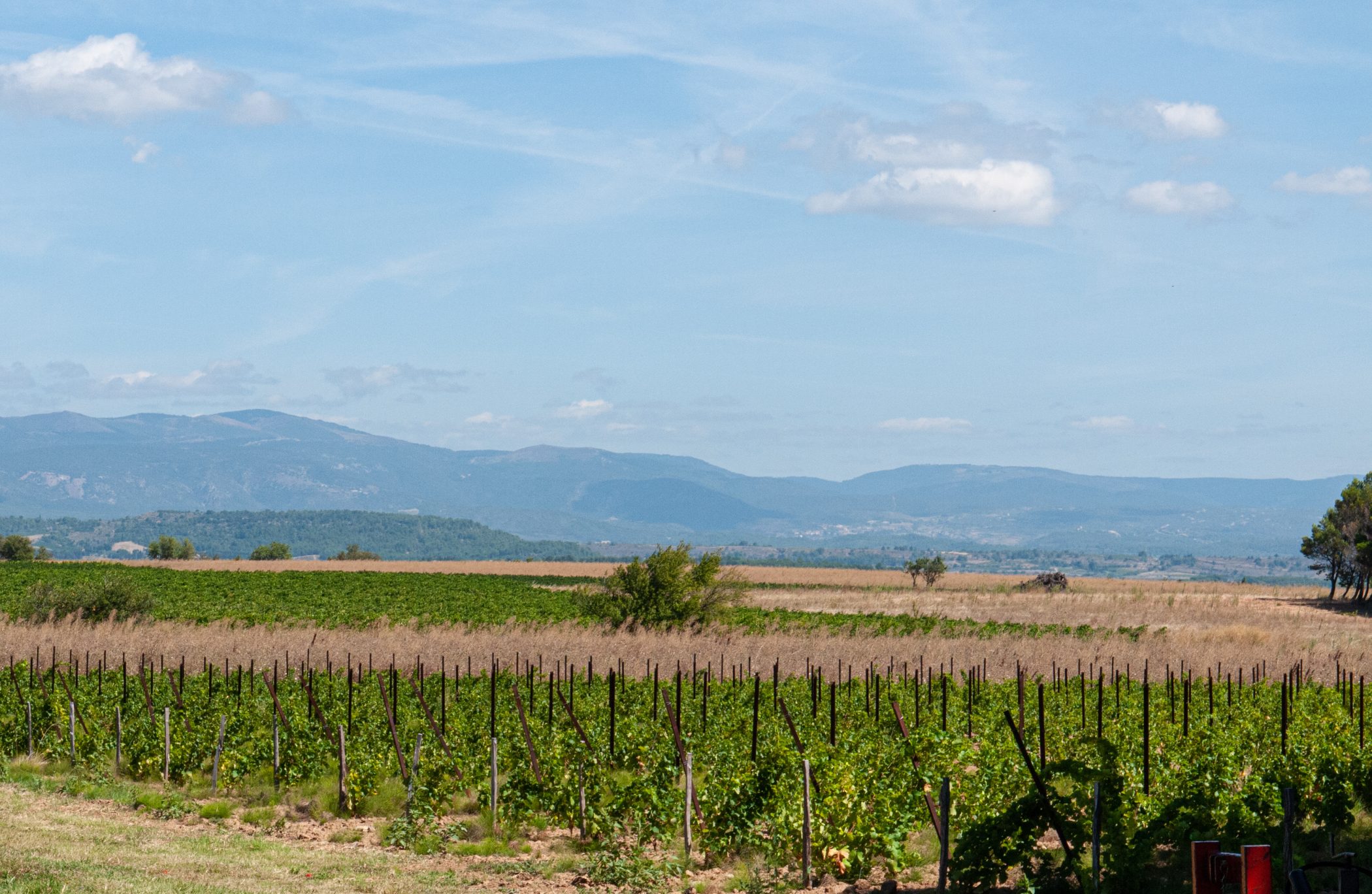 Canal du Midi Aug. 2011