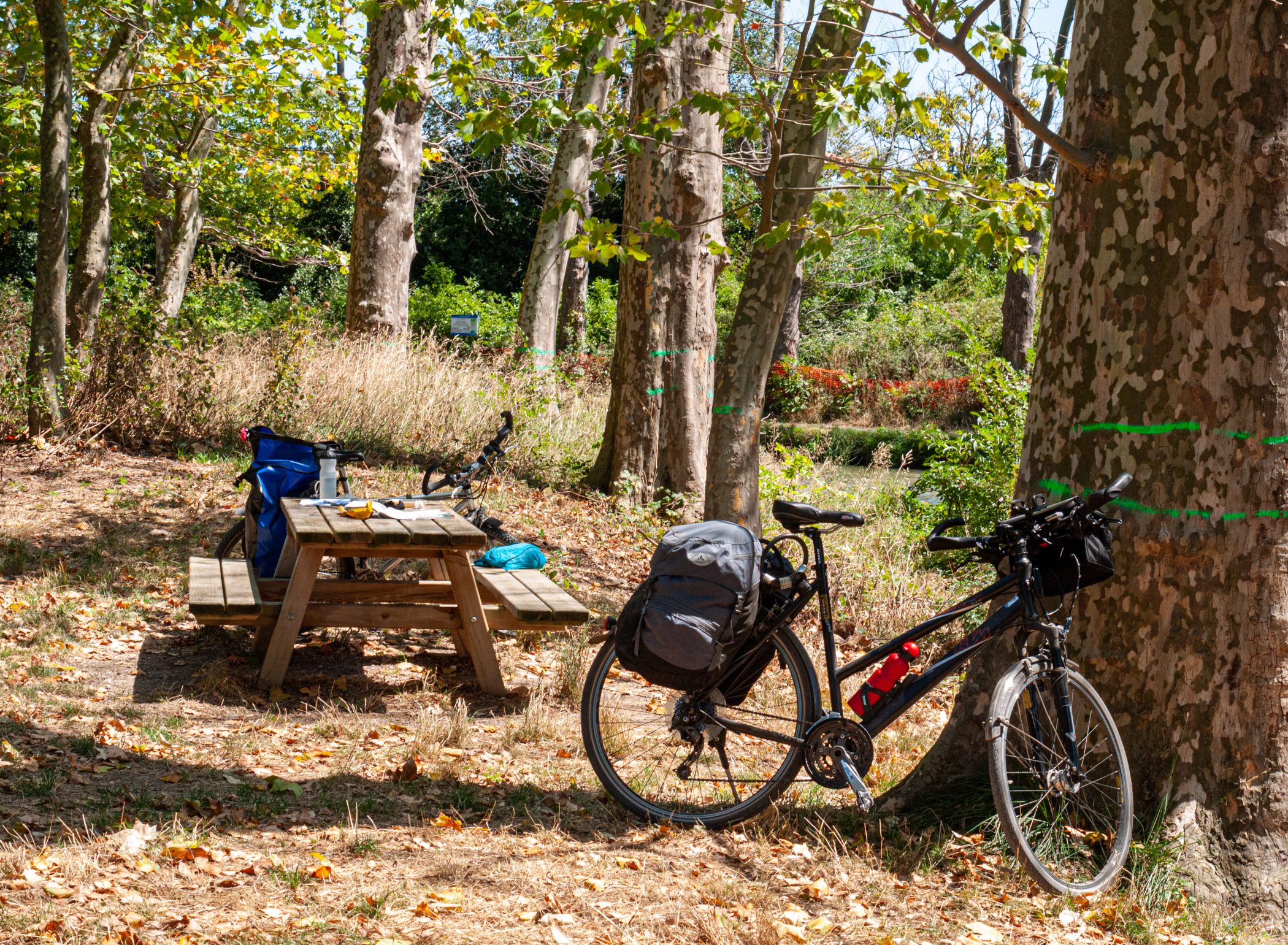 Canal du Midi Aug. 2011
