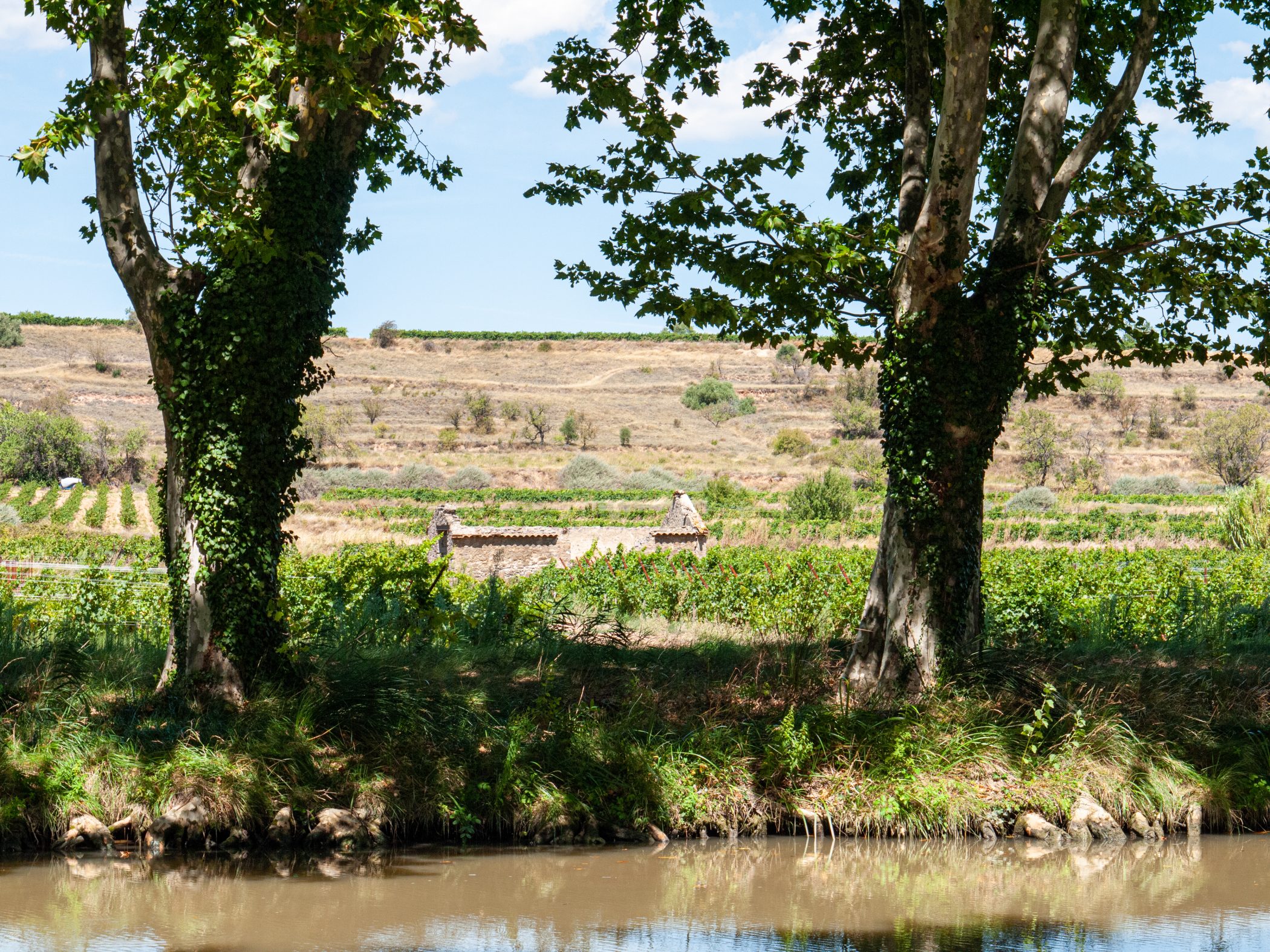 Canal du Midi Aug. 2011