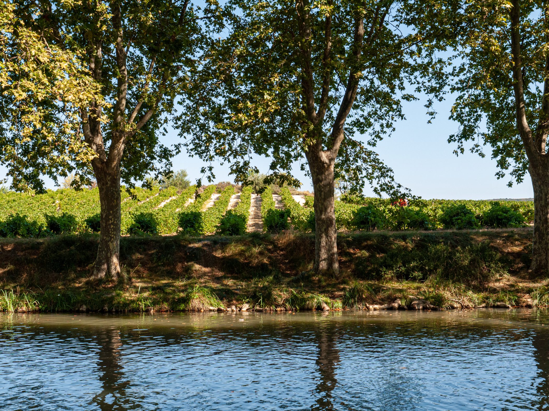 Canal du Midi Aug. 2011