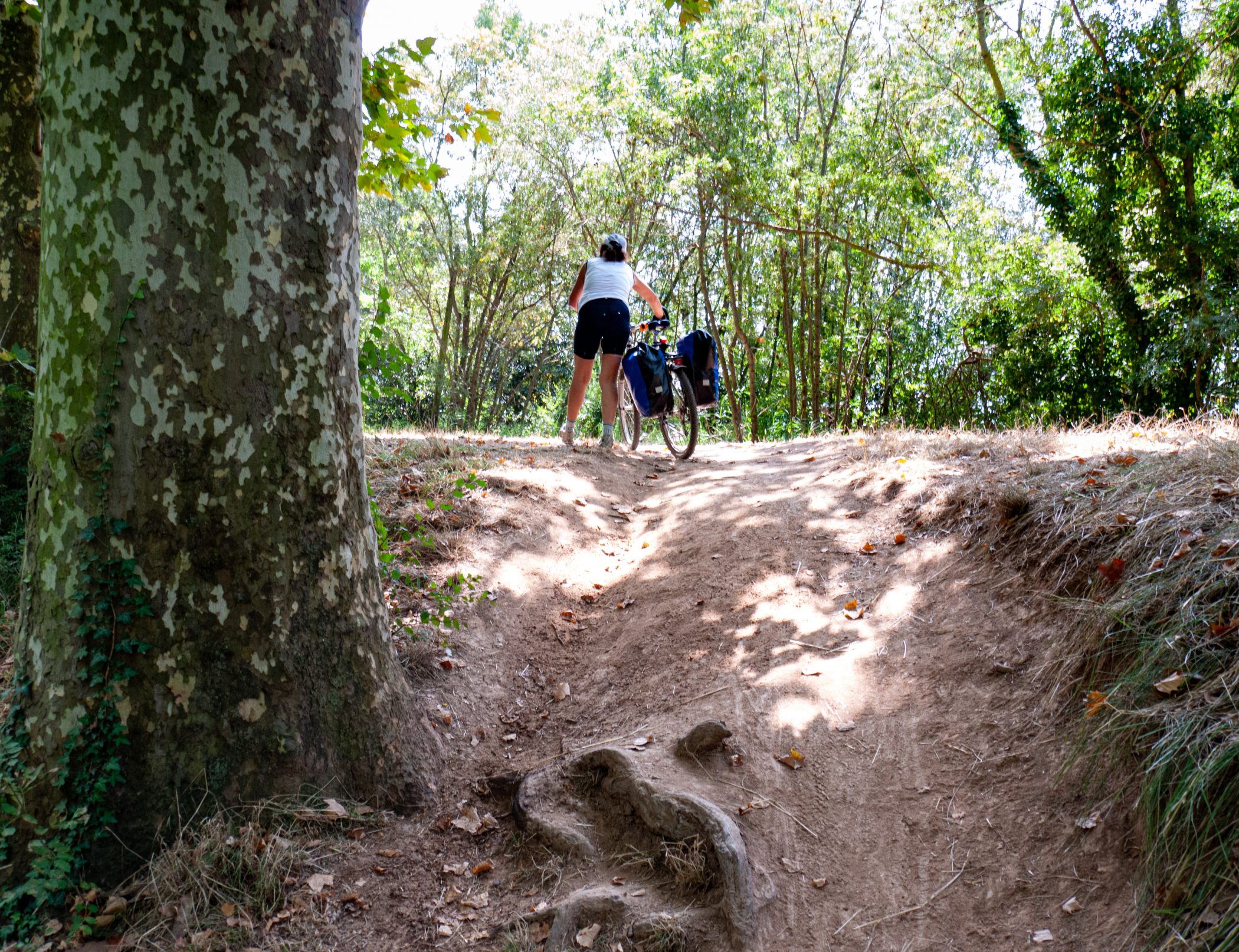 Canal du Midi Aug. 2011