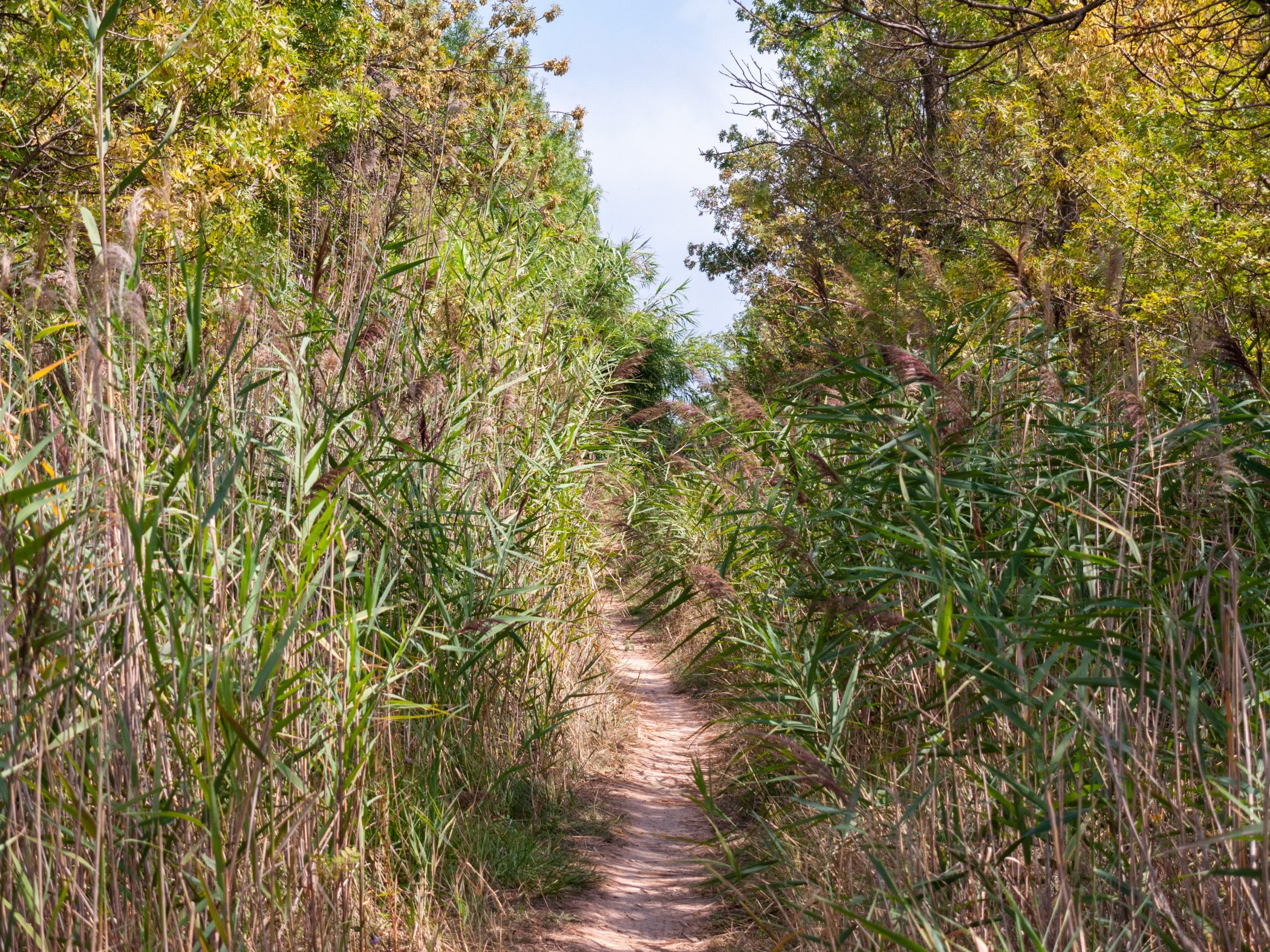Canal du Midi Aug. 2011