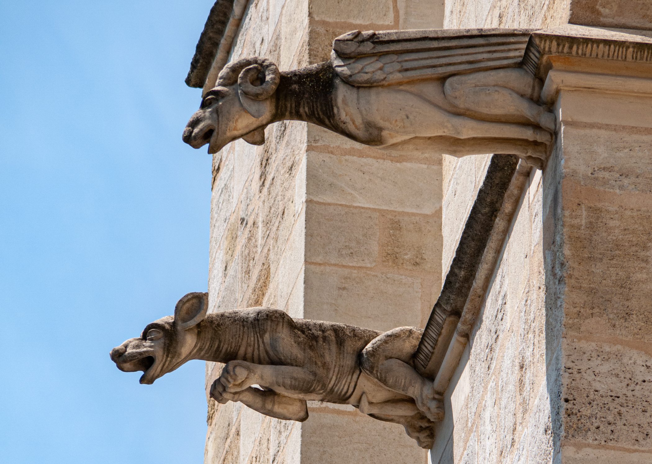 Canal du Midi Aug. 2011