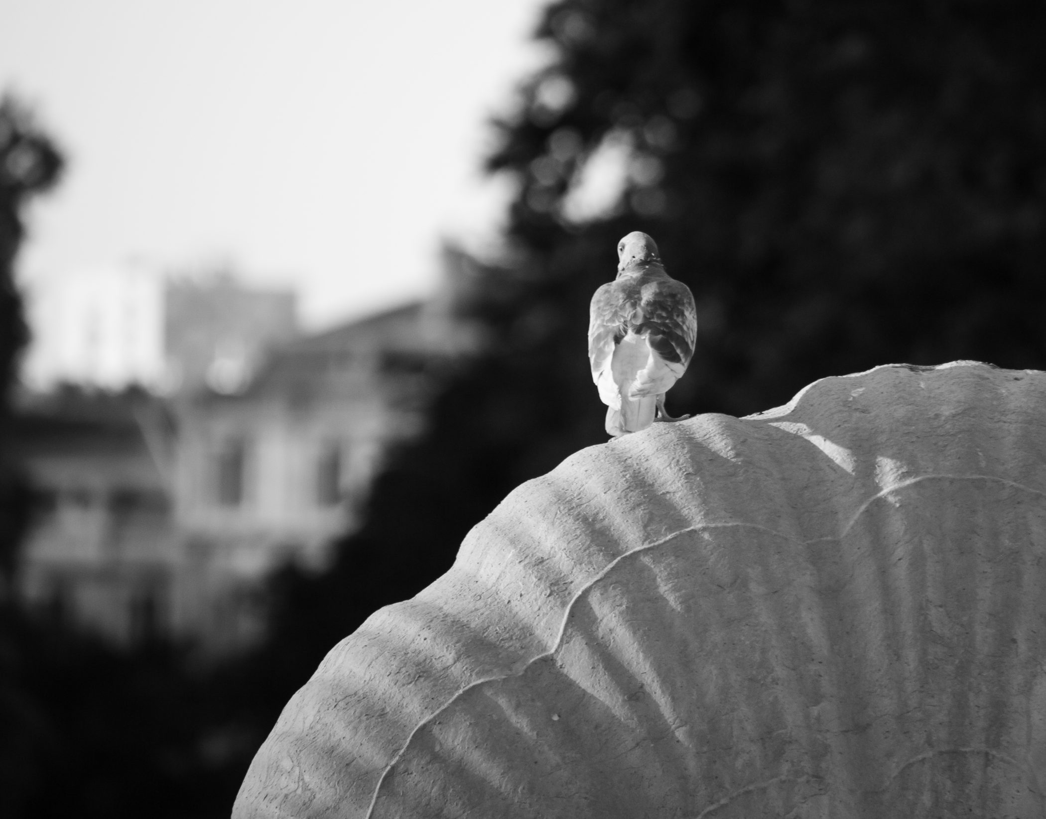 Biking in France - 2012