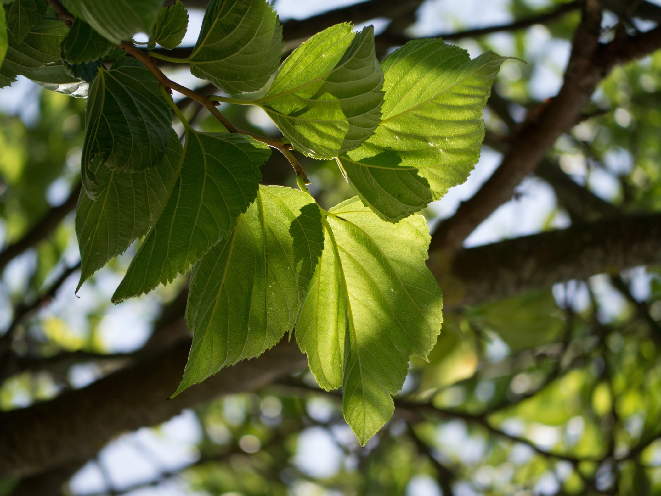 Biking in France - 2012