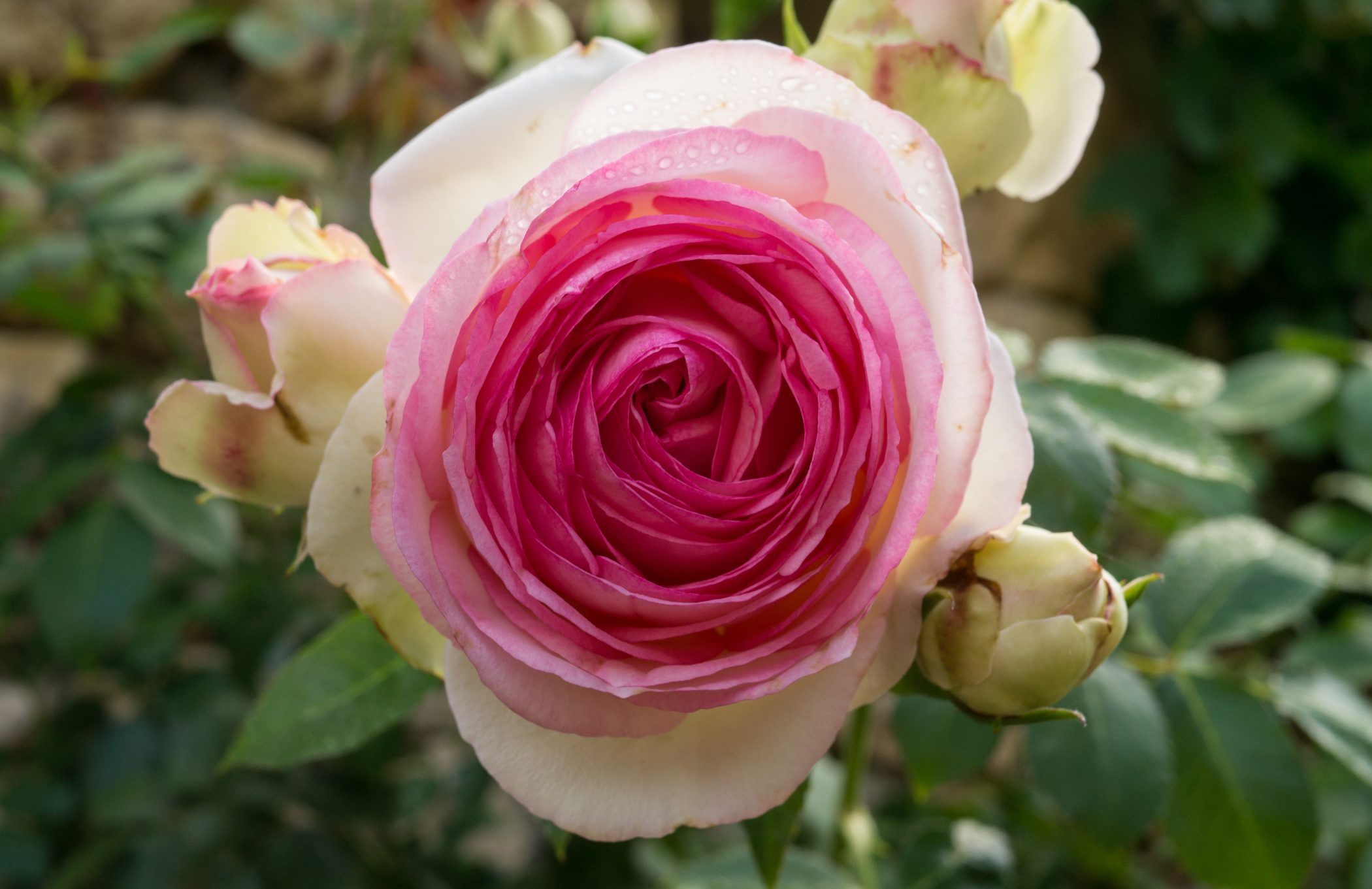 Biking in France - 2012