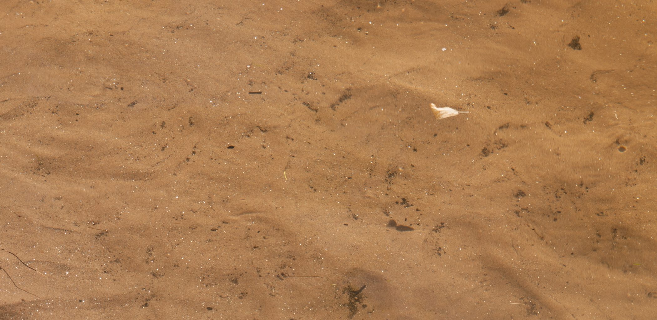 Biking in France - 2012