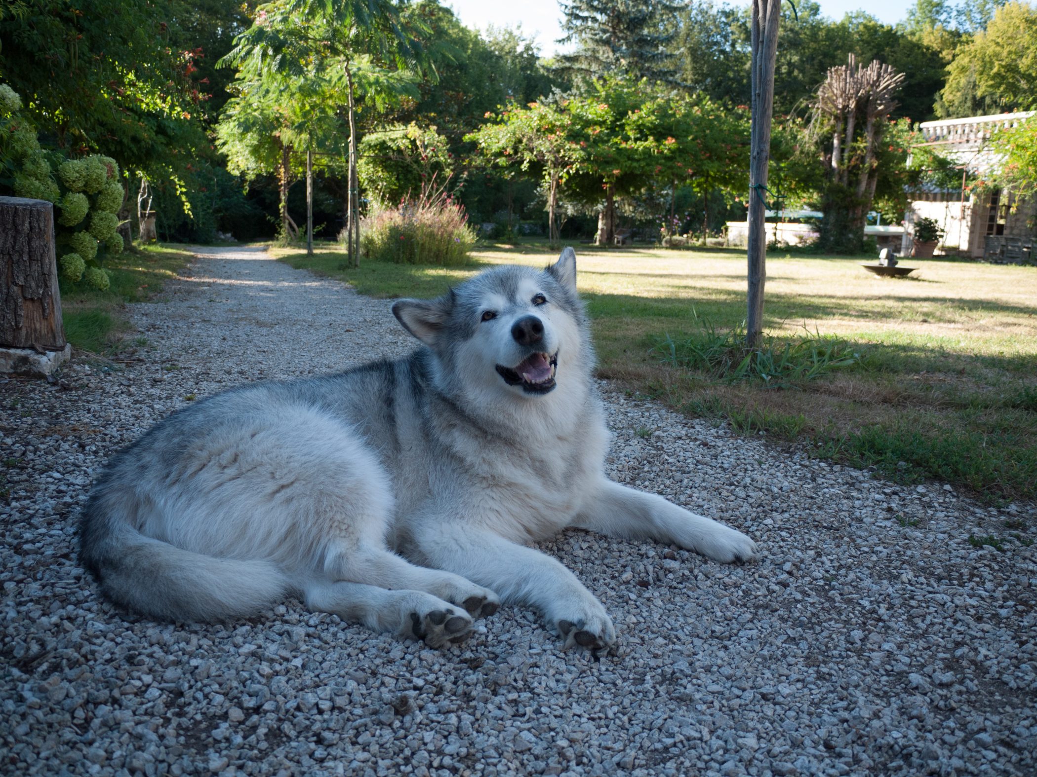 Biking in France - 2012